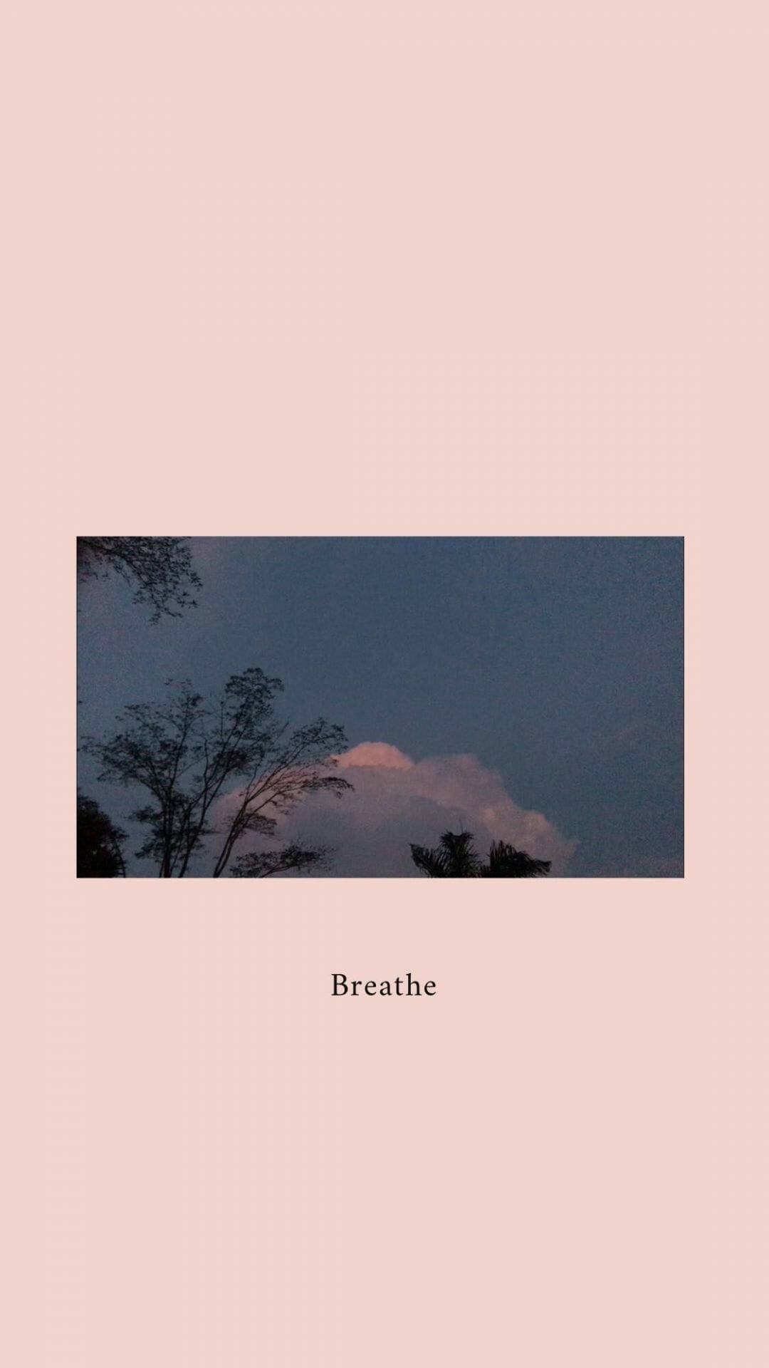 Breathe Aesthetic Rosa iPhone Xr Fondos de pantalla