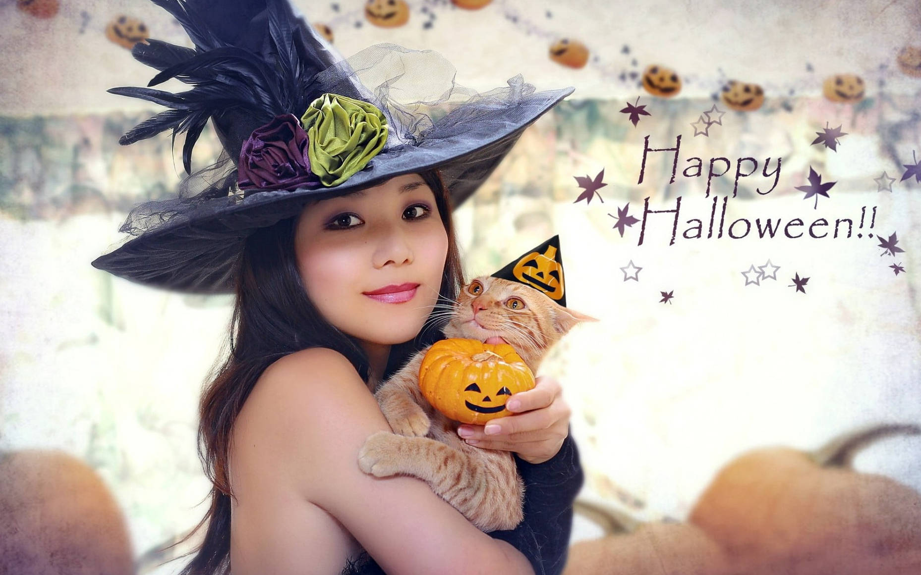 Bruja de Halloween linda con gato Fondos de pantalla