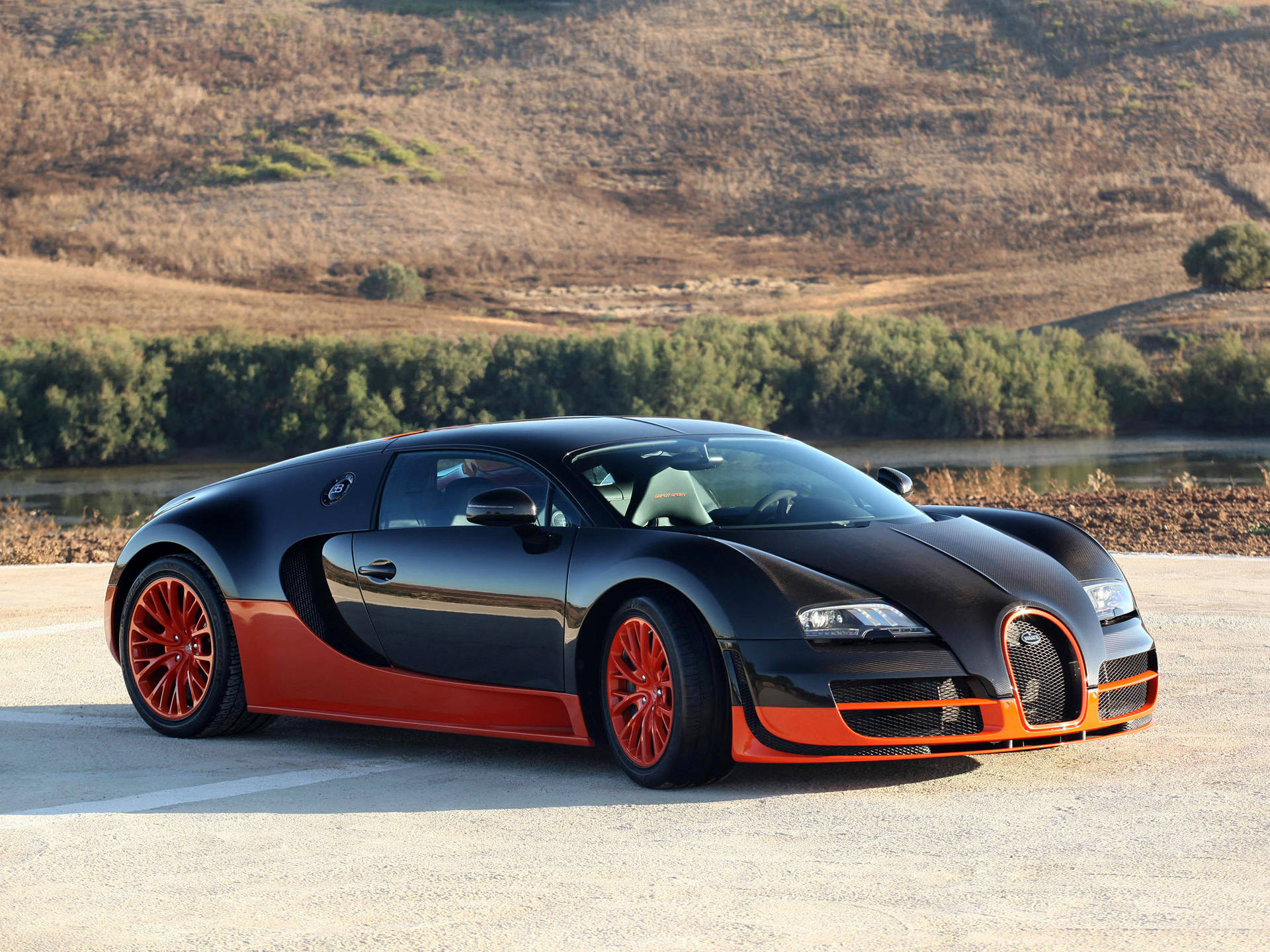 Fondo de Pantalla del Bugatti Veyron Estacionado al Aire Libre