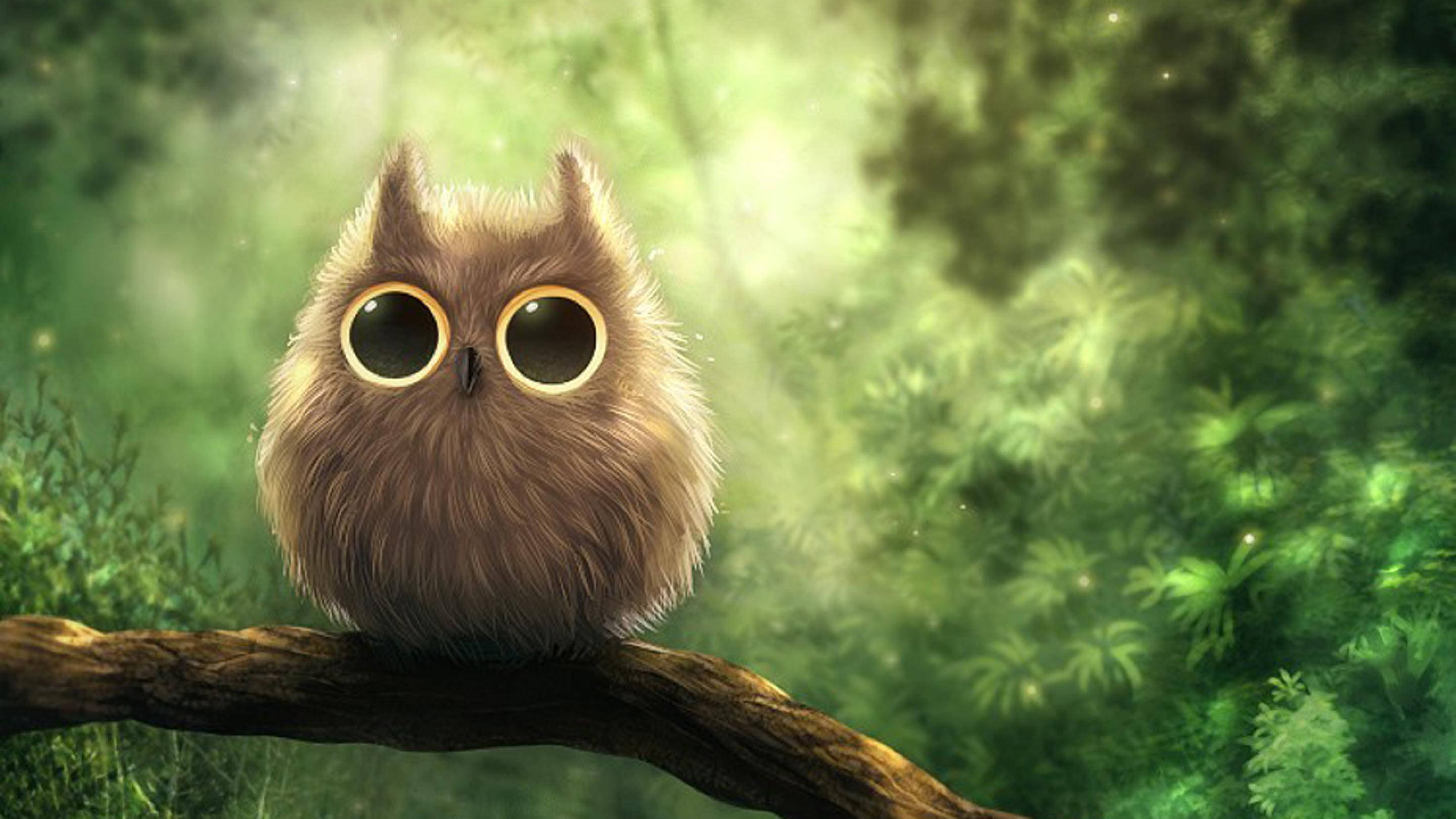 Búho peludo y lindo Fondos de pantalla