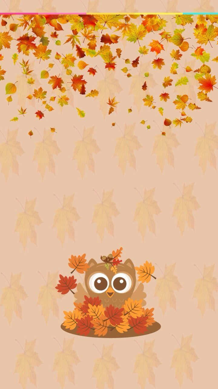 búhos en hojas de otoño fondo de pantalla Fondos de pantalla