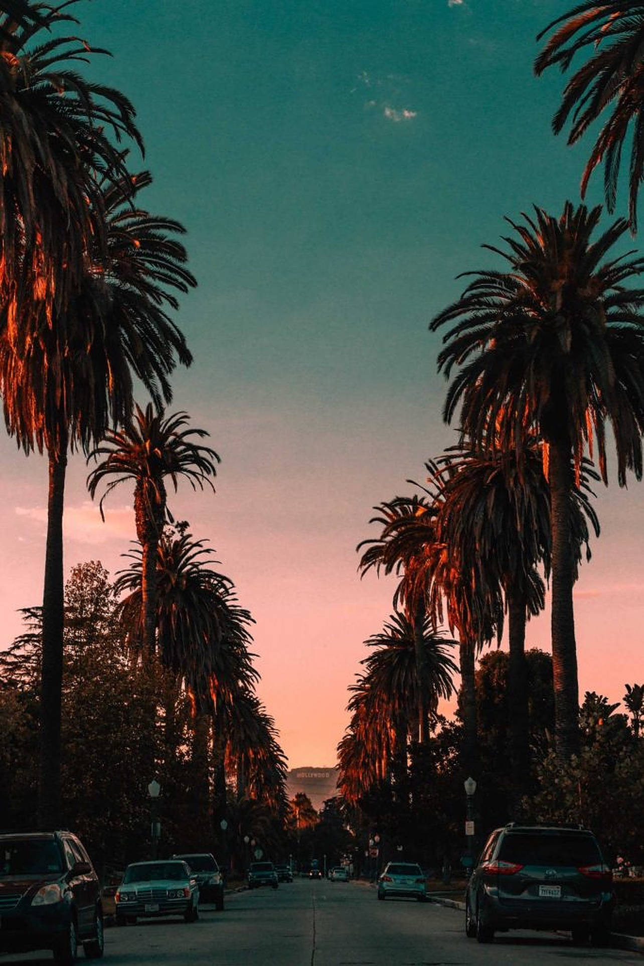 Bulevar Sunset y letrero de Hollywood Fondos de pantalla