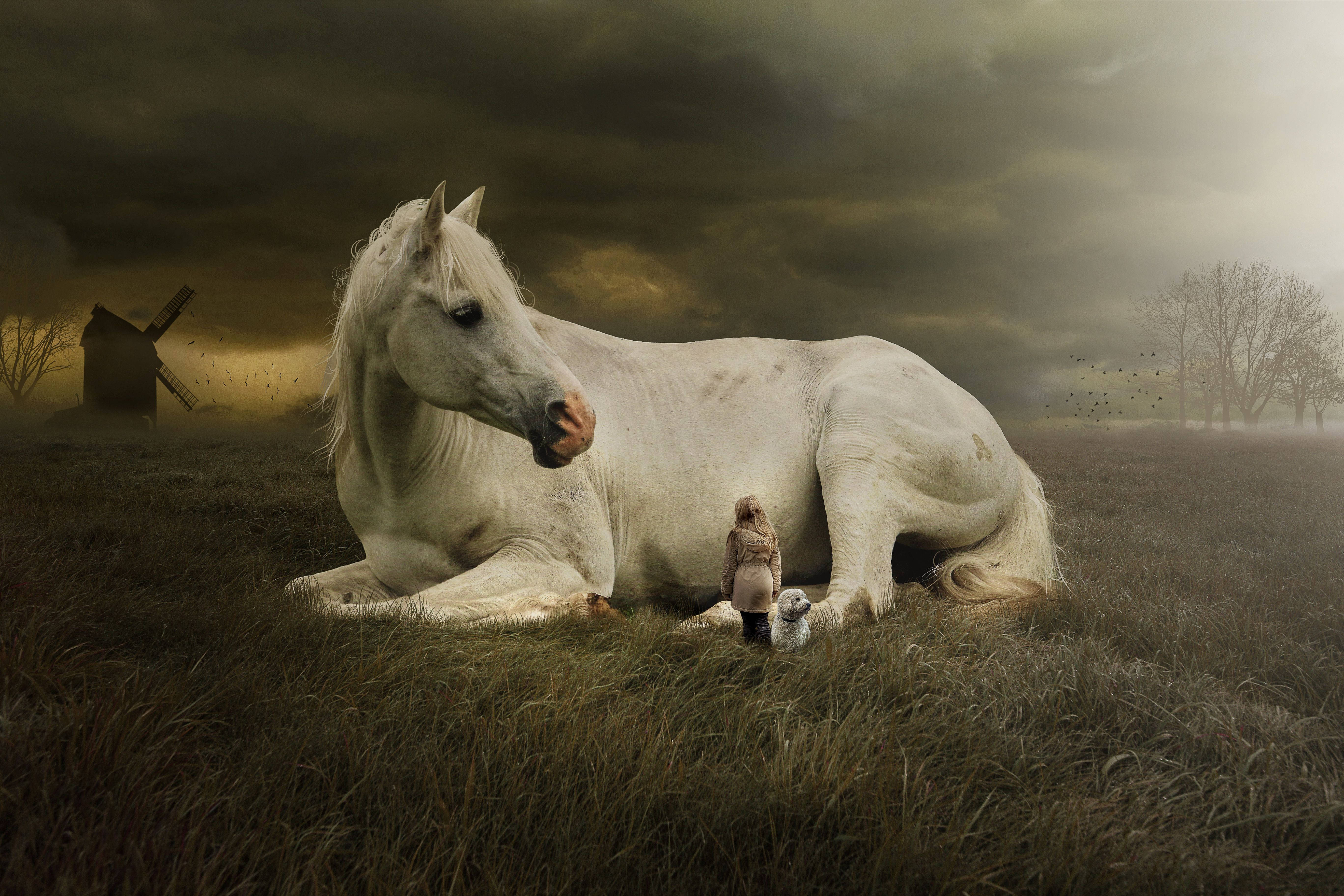 Caballo Gigante y Tierno con Niña y Cachorro Fondos de pantalla