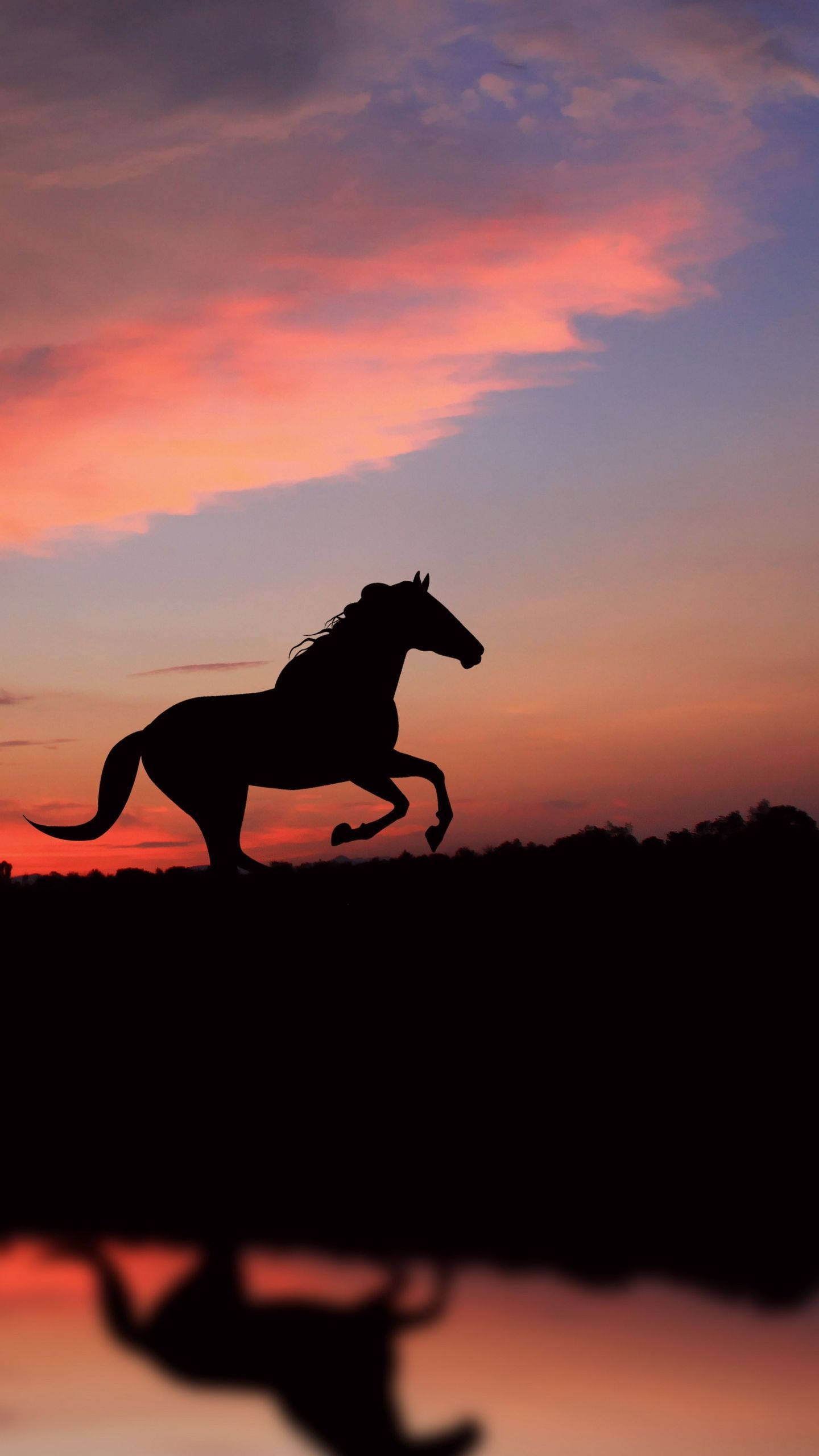 Caballo Lindo Corriendo Junto al Río Fondos de pantalla
