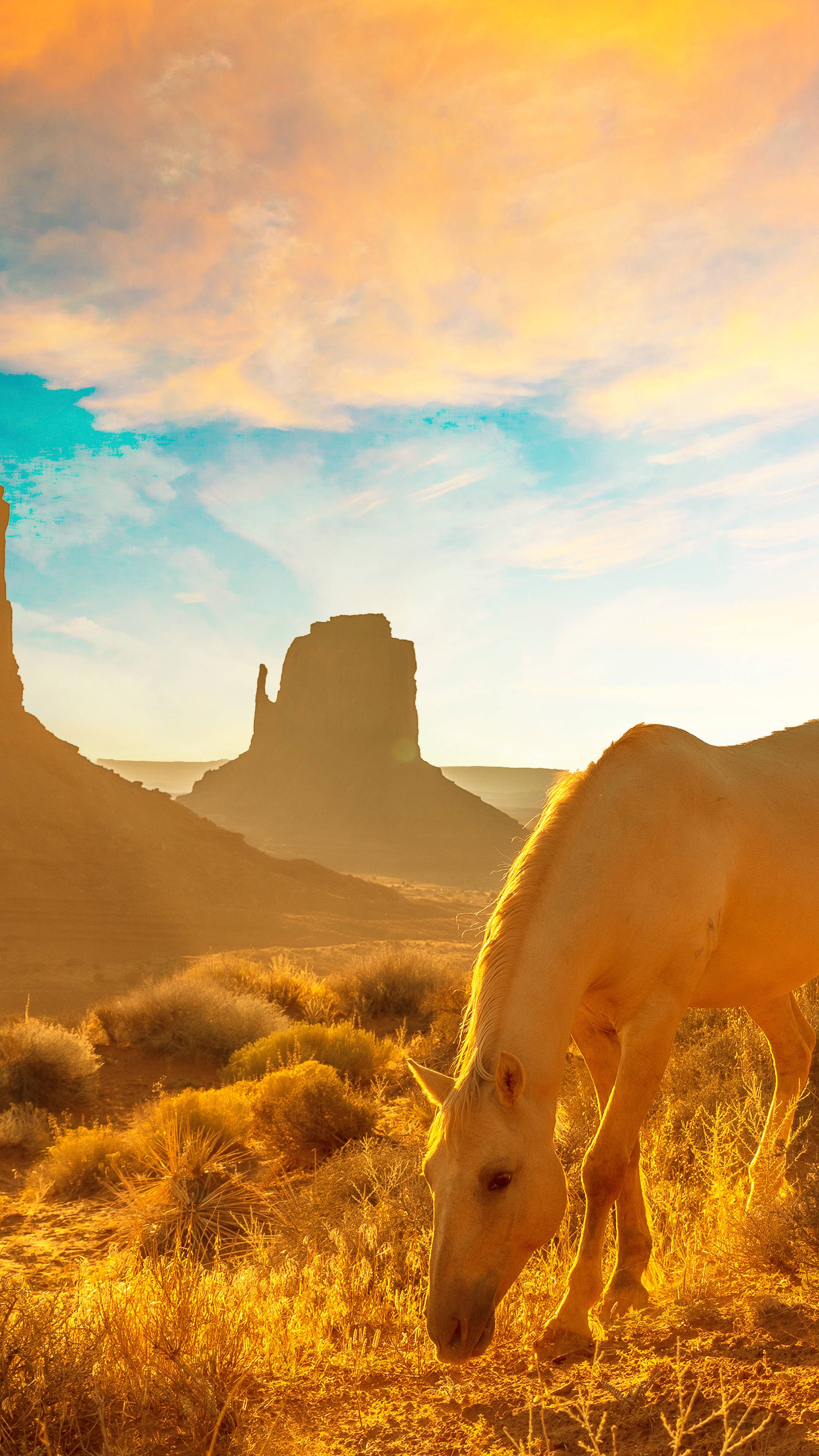 Caballo Salvaje del Oeste Estético Fondos de pantalla