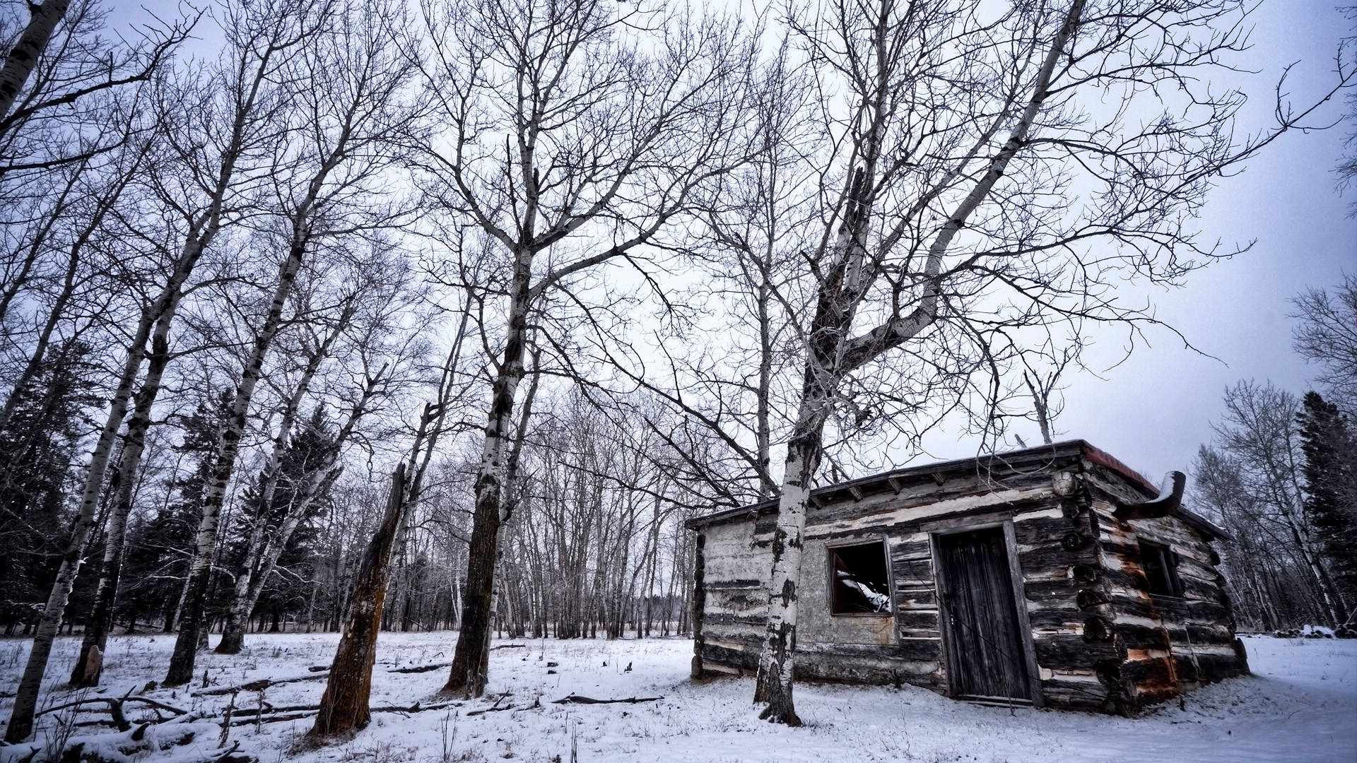 Cabaña de Bosque en Invierno Frío Fondos de pantalla