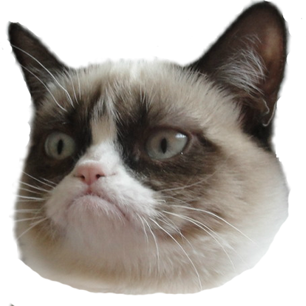 Cabeza de Gato Gruñón Fondo Transparente.PNG Fondos de pantalla