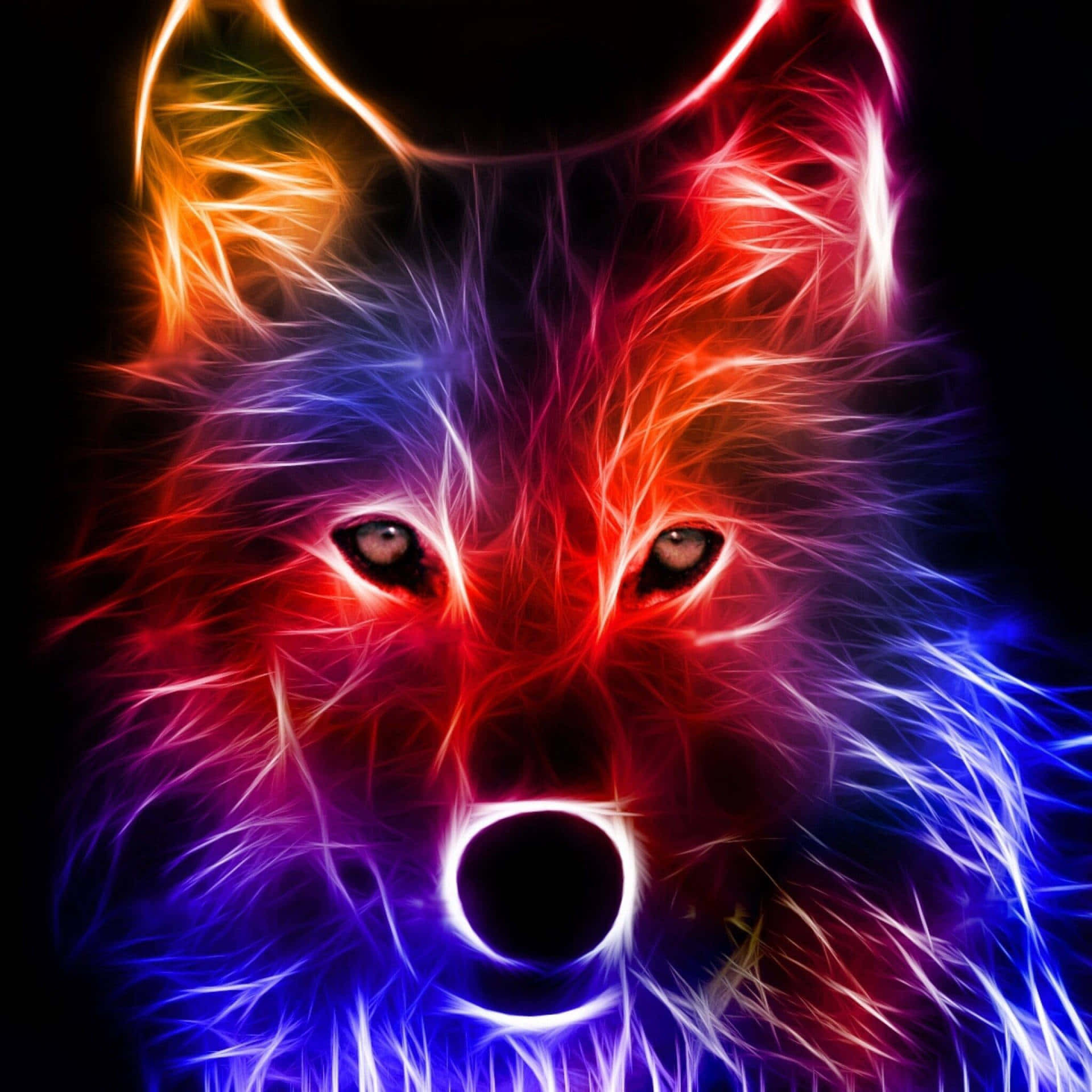 cabeza de lobo colorida con fondo azul y rojo Fondos de pantalla