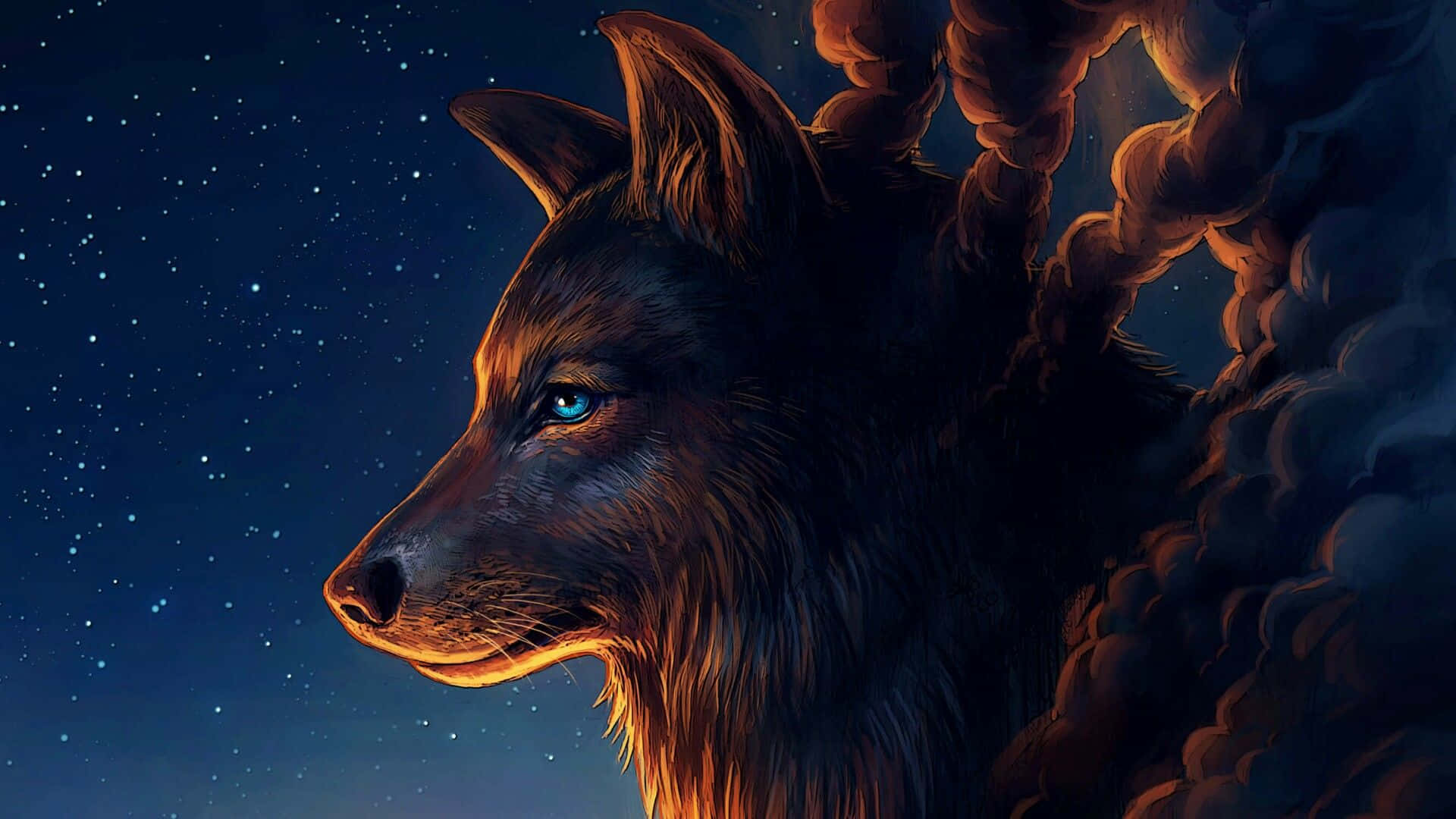 Cabeza de lobo con ojos azules y cielo estrellado Fondos de pantalla