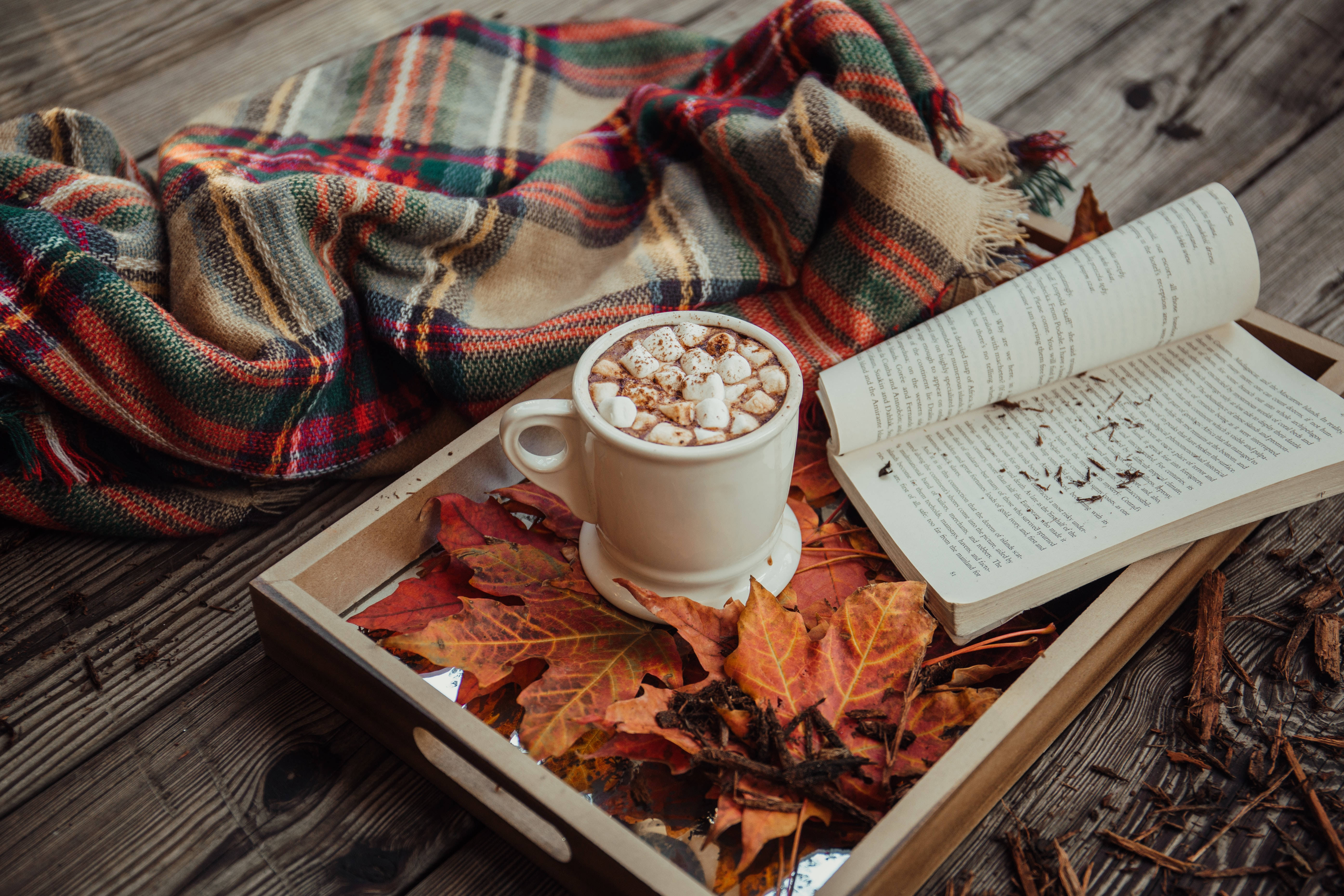 Cacao Caliente Otoñal y Hojas de Otoño Fondos de pantalla