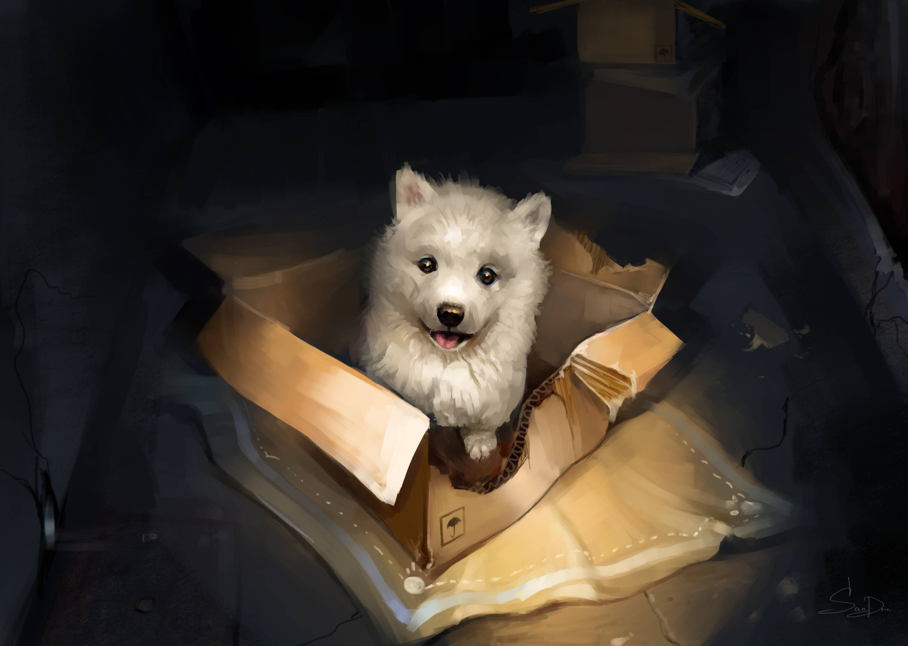Cachorro blanco lindo en la caja Fondos de pantalla