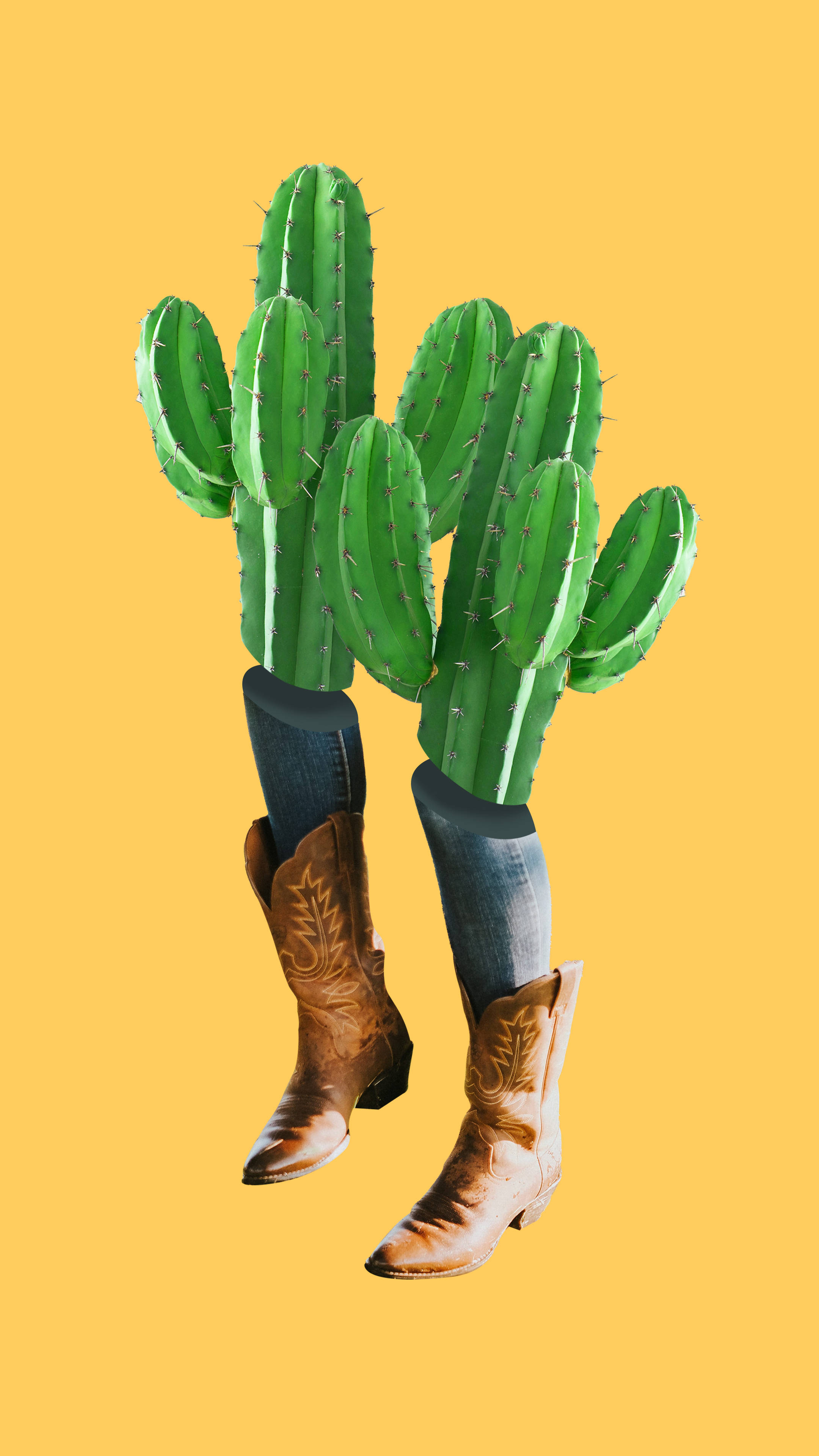 Cacti Boots Estética Western Fondos de pantalla