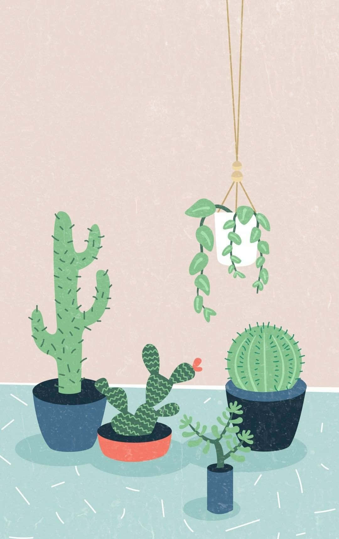 Cactus Verde Estético Fondos de pantalla