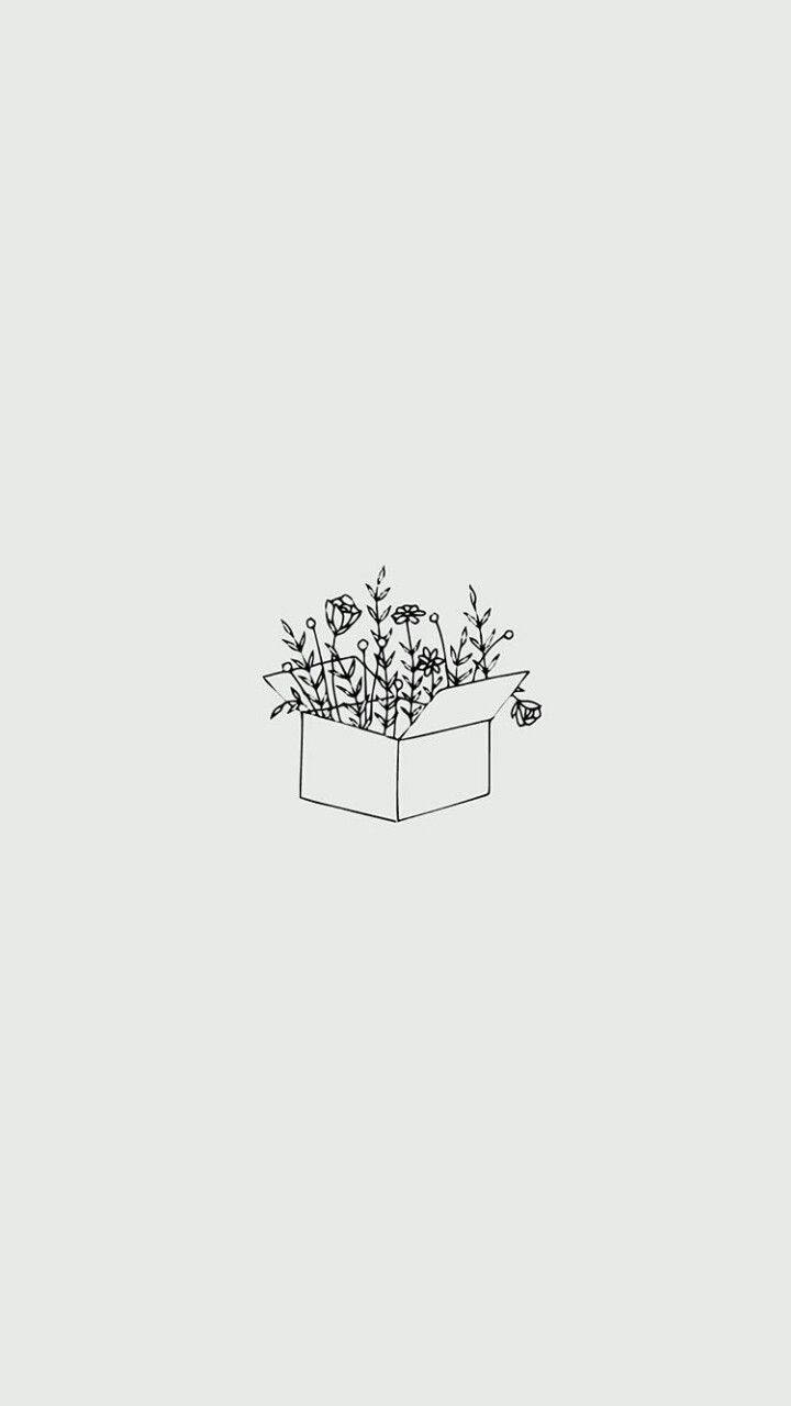 Caja Estética Minimalista Llena de Flores Fondos de pantalla