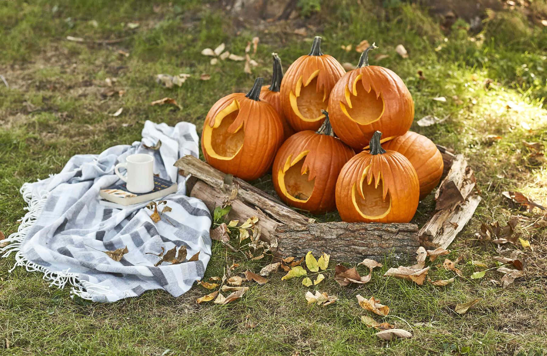 Calabaza de Halloween tallada con fuego Fondos de pantalla