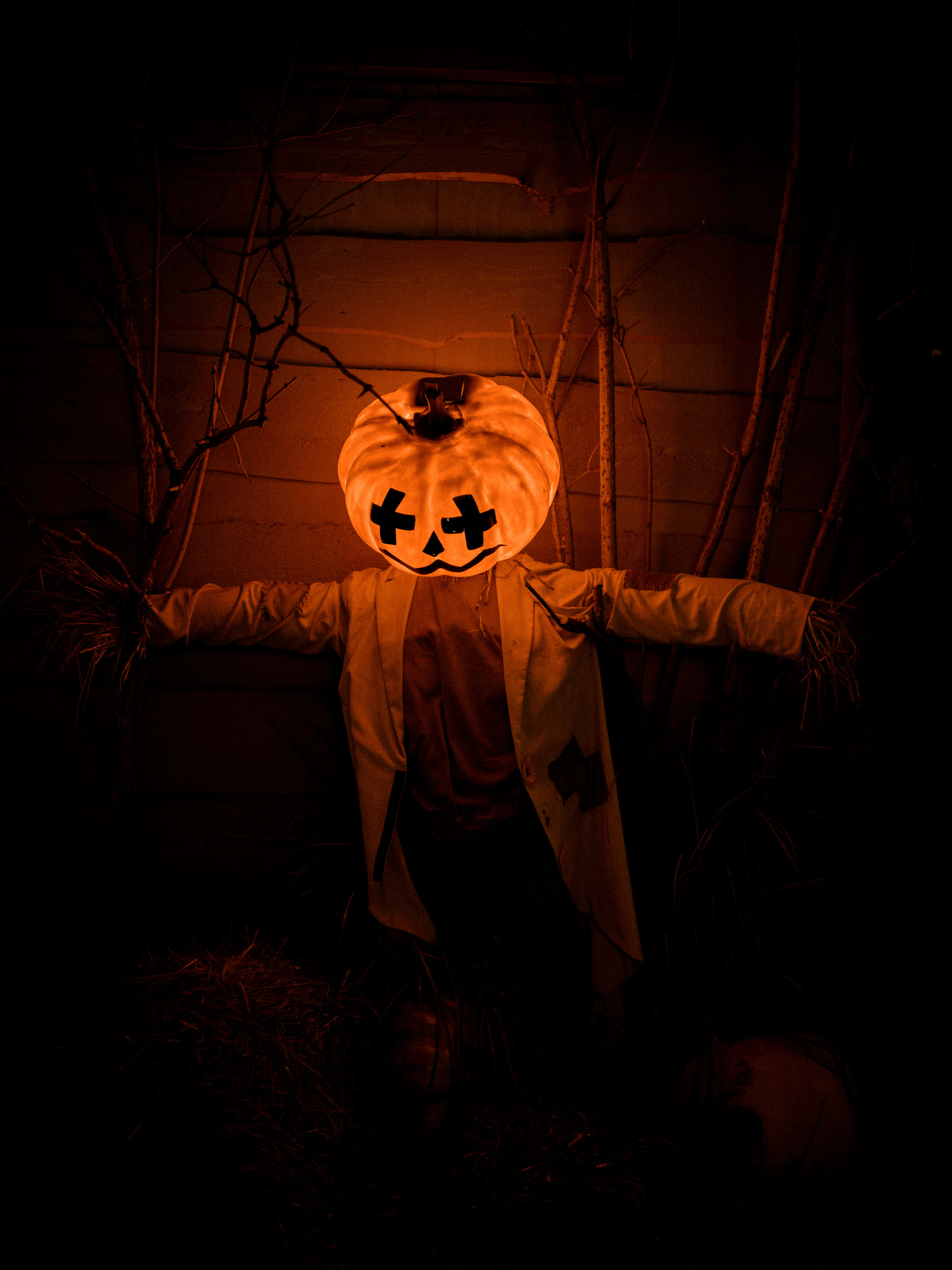 Calabaza Encantadora de Halloween en Noche de Otoño Fondos de pantalla