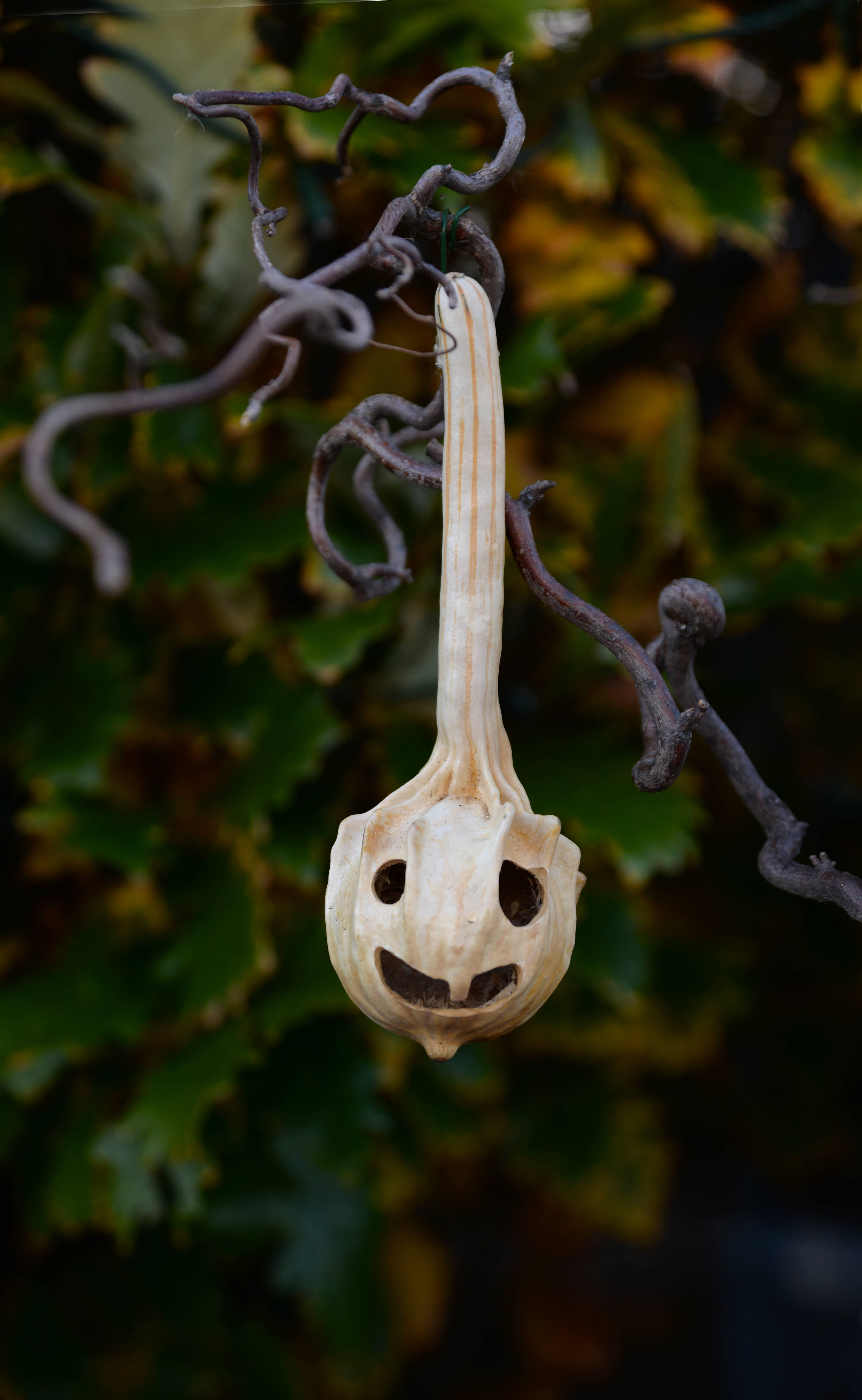 Calabaza Fantasma de Halloween de Octubre Fondos de pantalla
