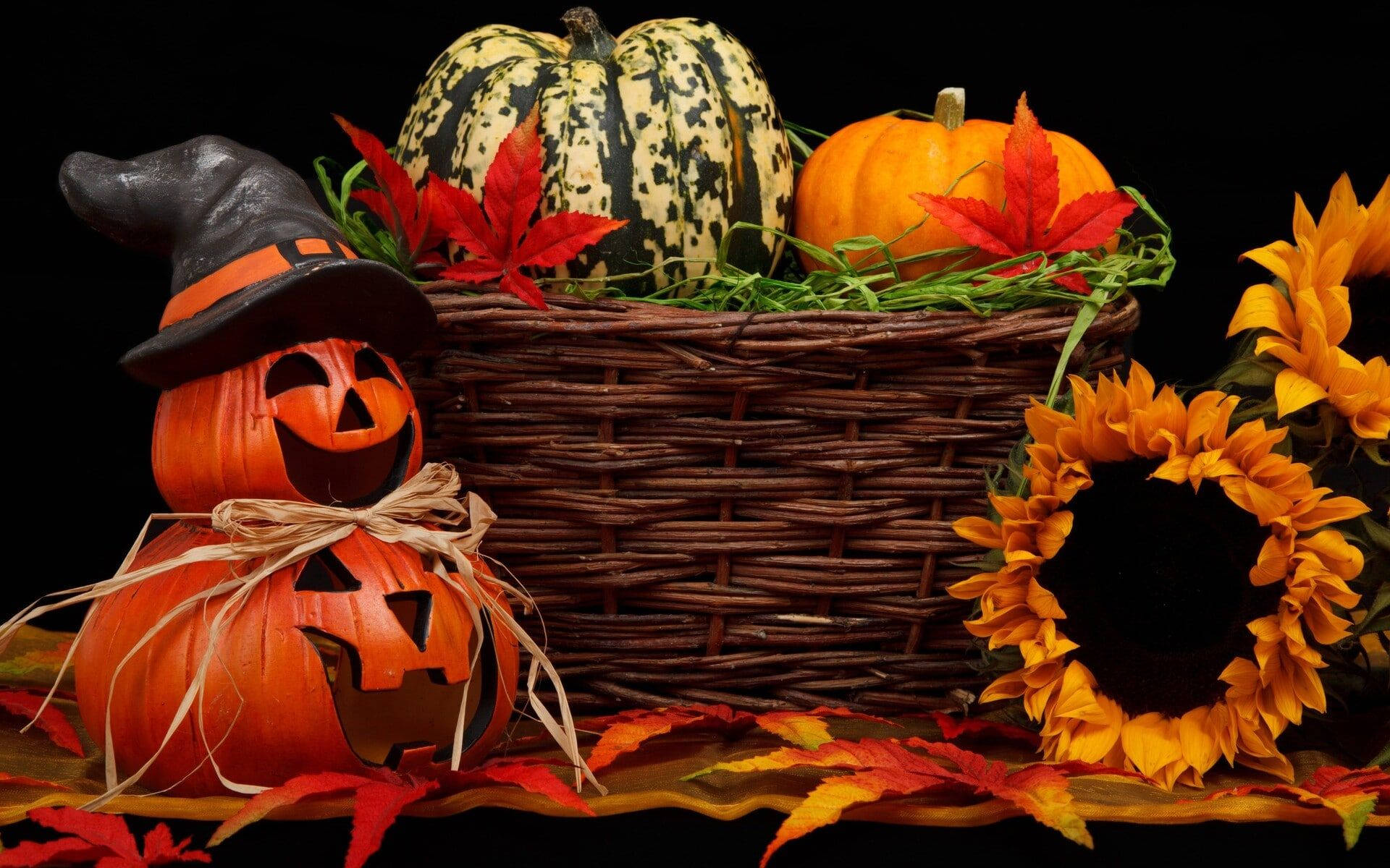 Calabazas y Flores de Halloween Estéticas y Tiernas Fondos de pantalla