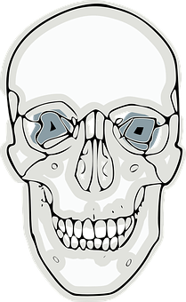 Calavera estilizada con gafas de sol Fondos de pantalla