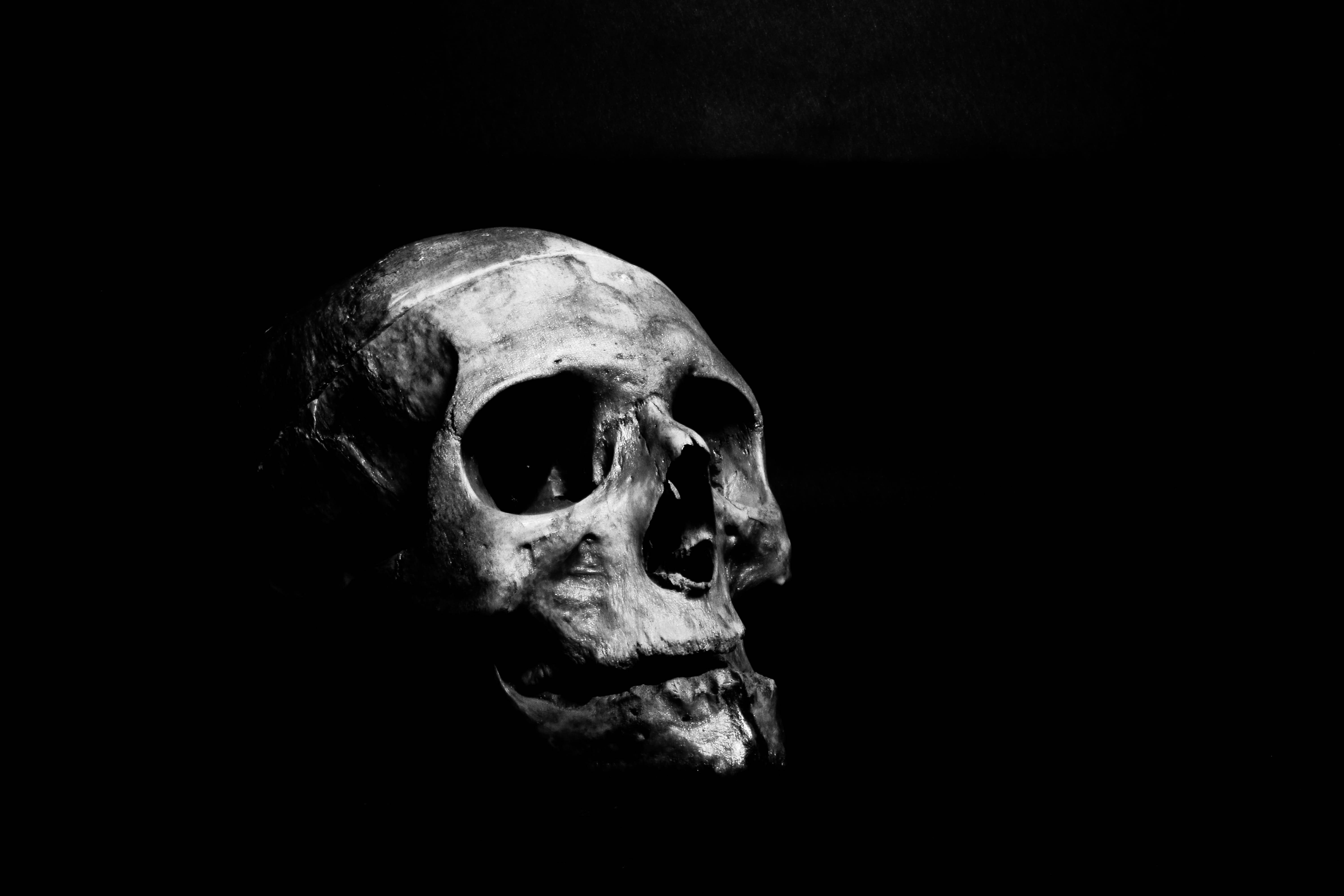 Calavera Humana Oscura para Laptop Fondos de pantalla