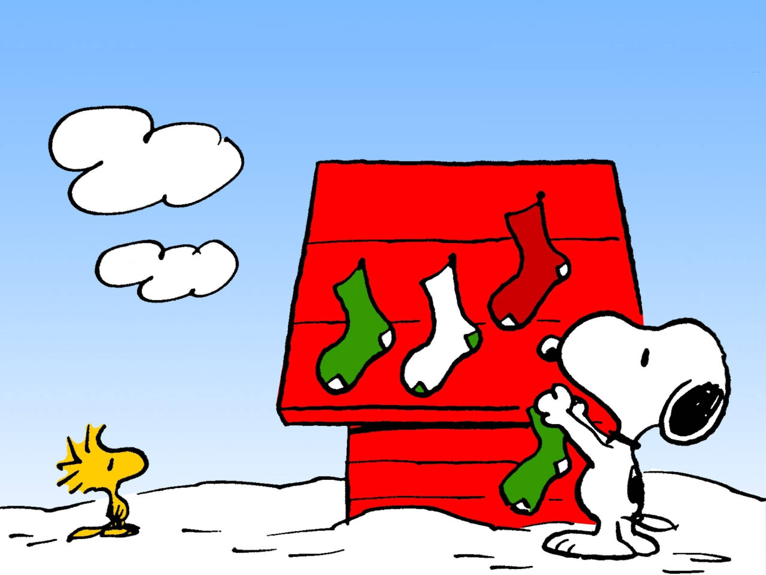 Calcetines Navideños de Snoopy Fondos de pantalla
