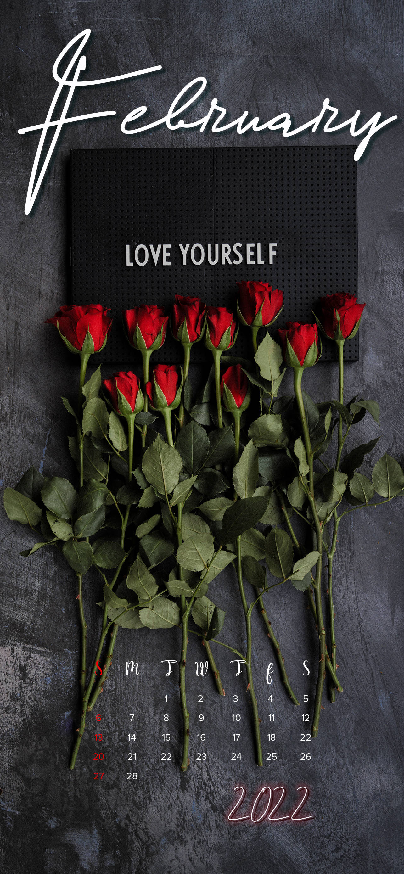 Calendario de Rosas Febrero 2022 Fondos de pantalla