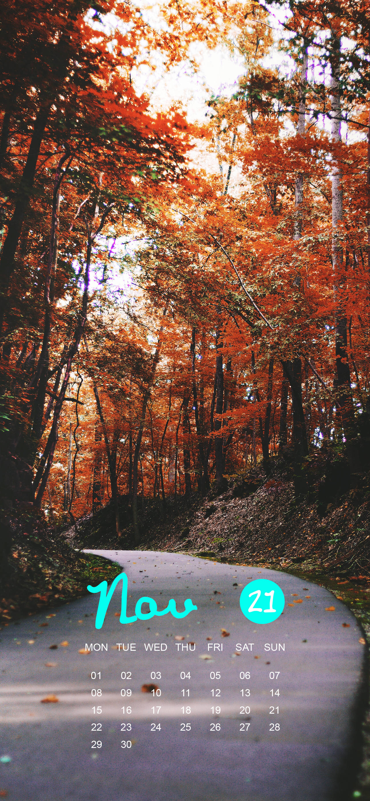 Calendario Noviembre 2021 Árboles Carretera Naranja Fondos de pantalla