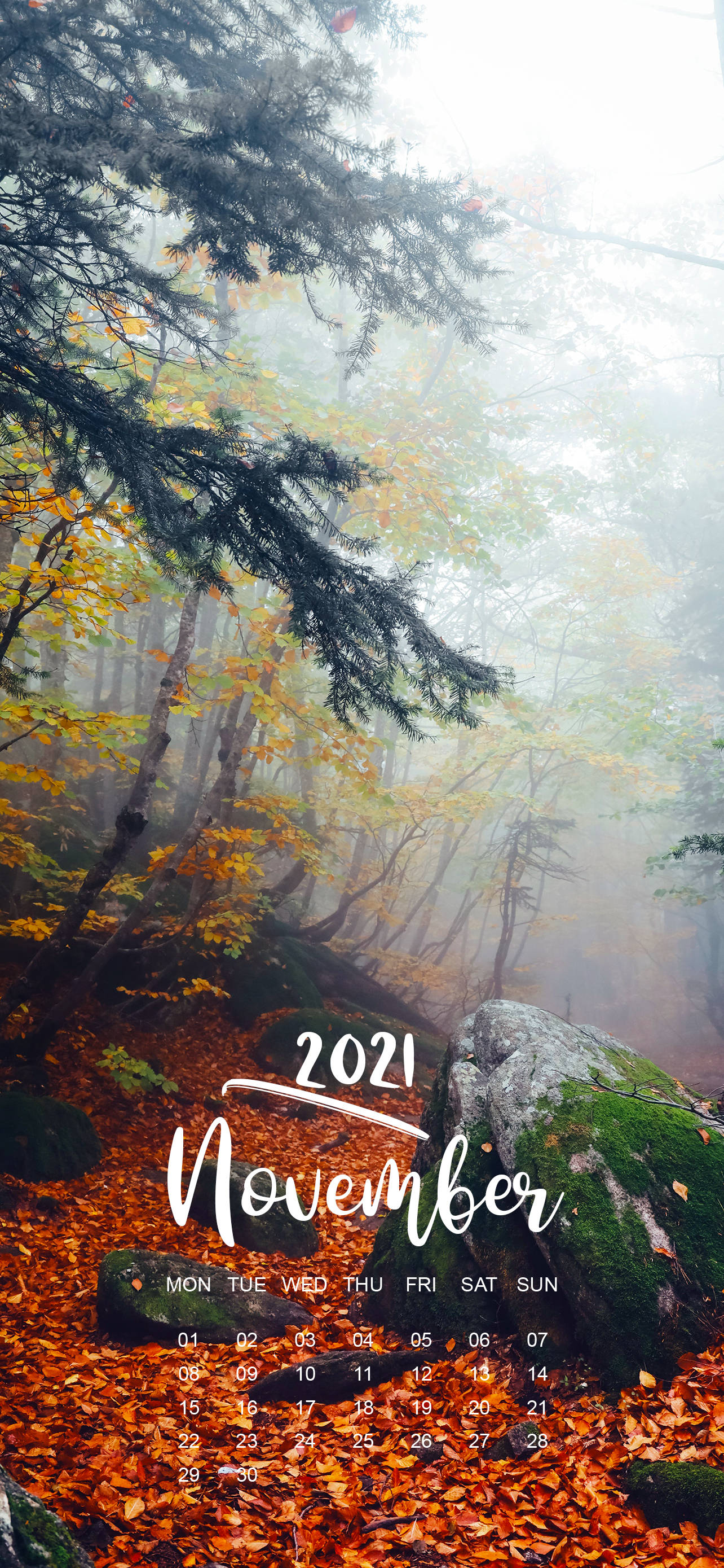 Calendario Noviembre 2021 Bosque Neblinoso Fondos de pantalla