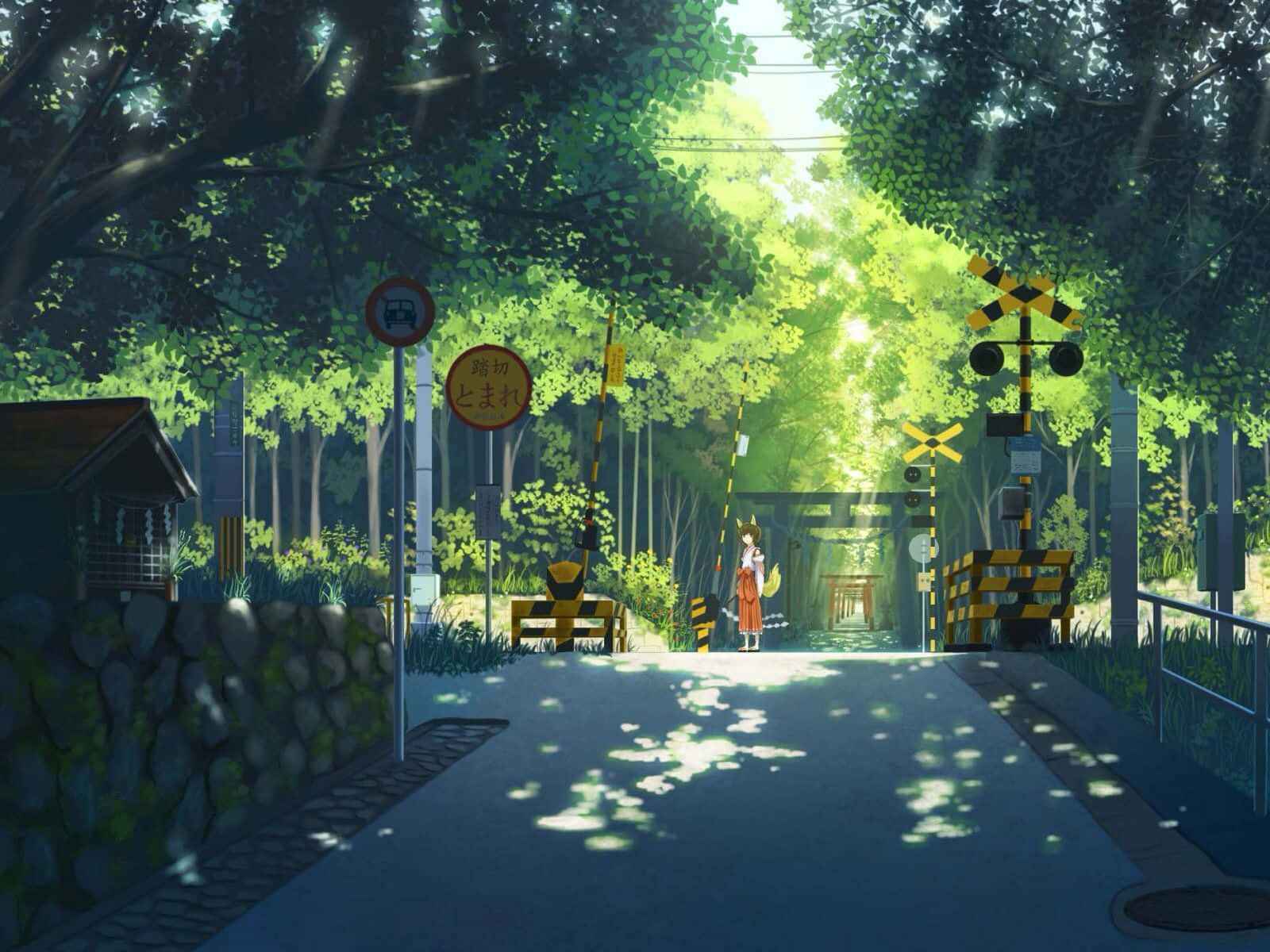 Calle Anime Verde de Japón Fondos de pantalla