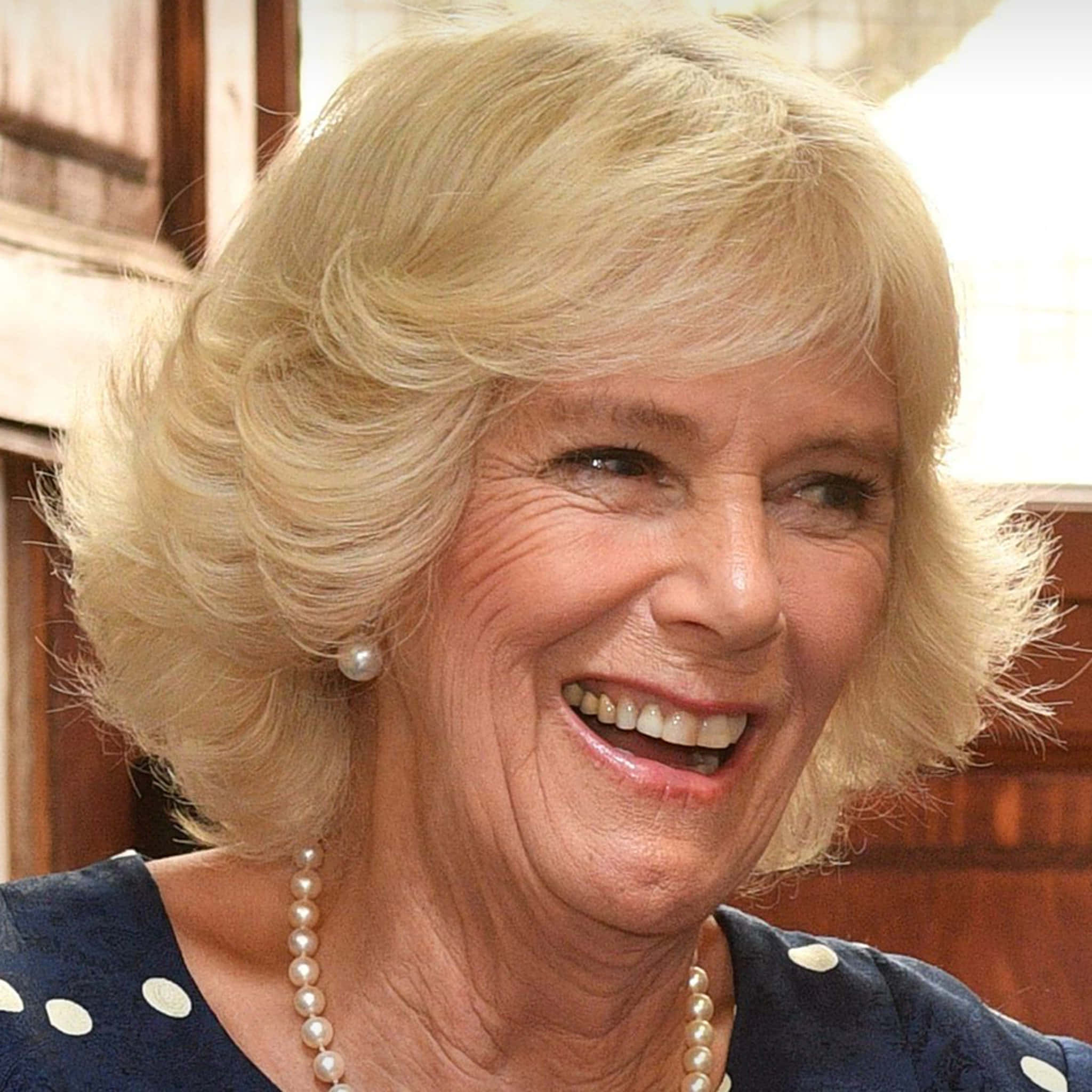 Camilla Riendo Móvil Fondos de pantalla