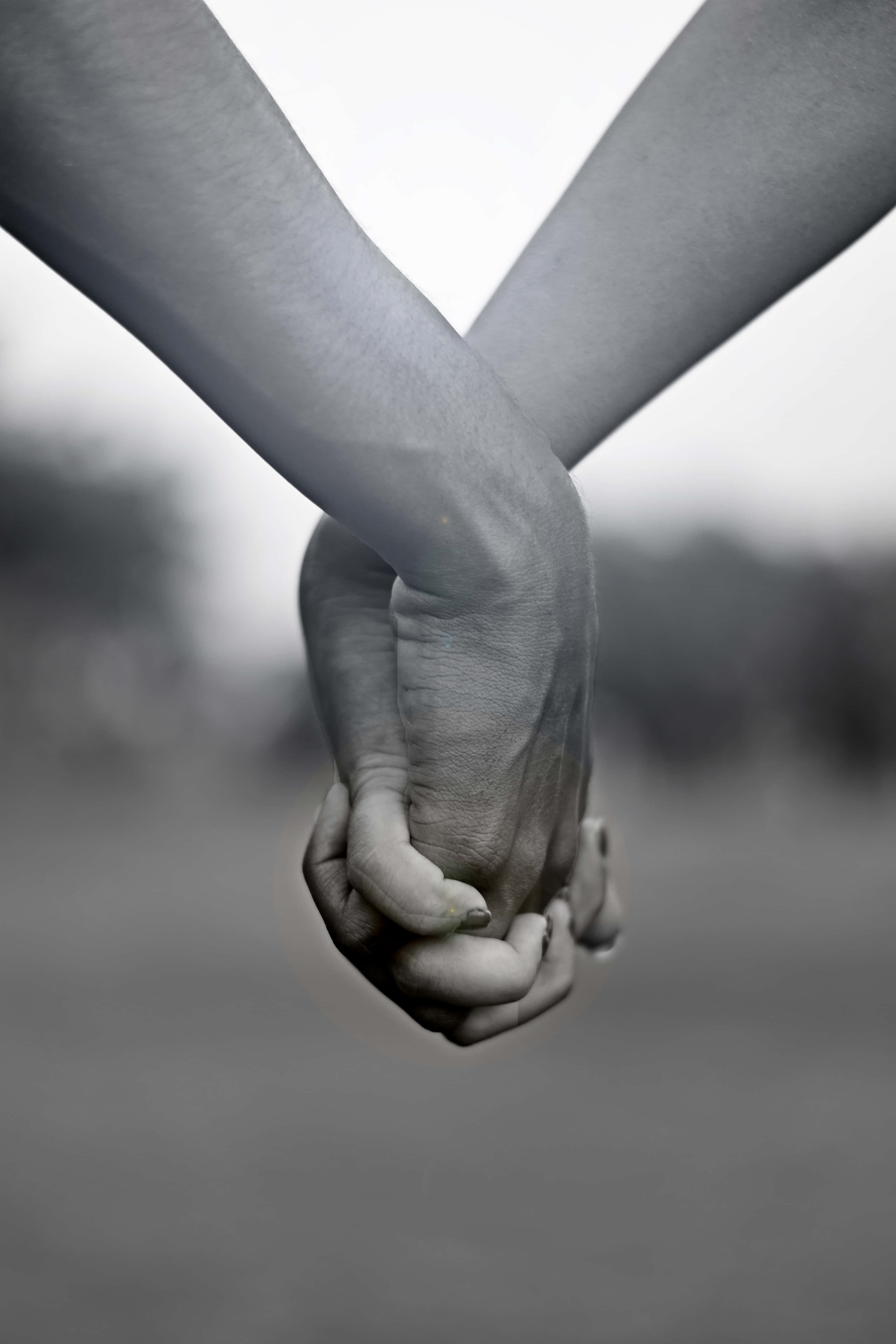 Caminemos por este camino sinuoso, de la mano. Fondos de pantalla