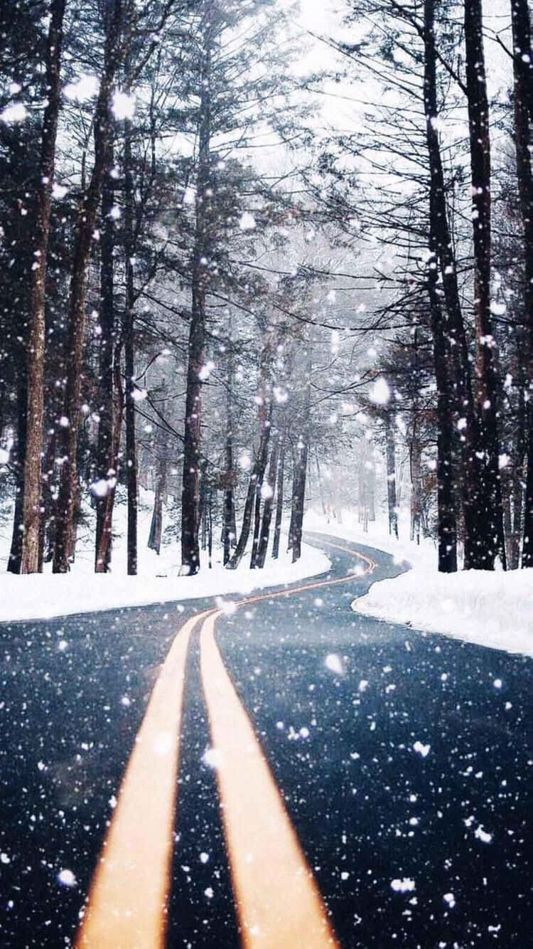 Camino Invernal Acogedor Tumblr Fondos de pantalla