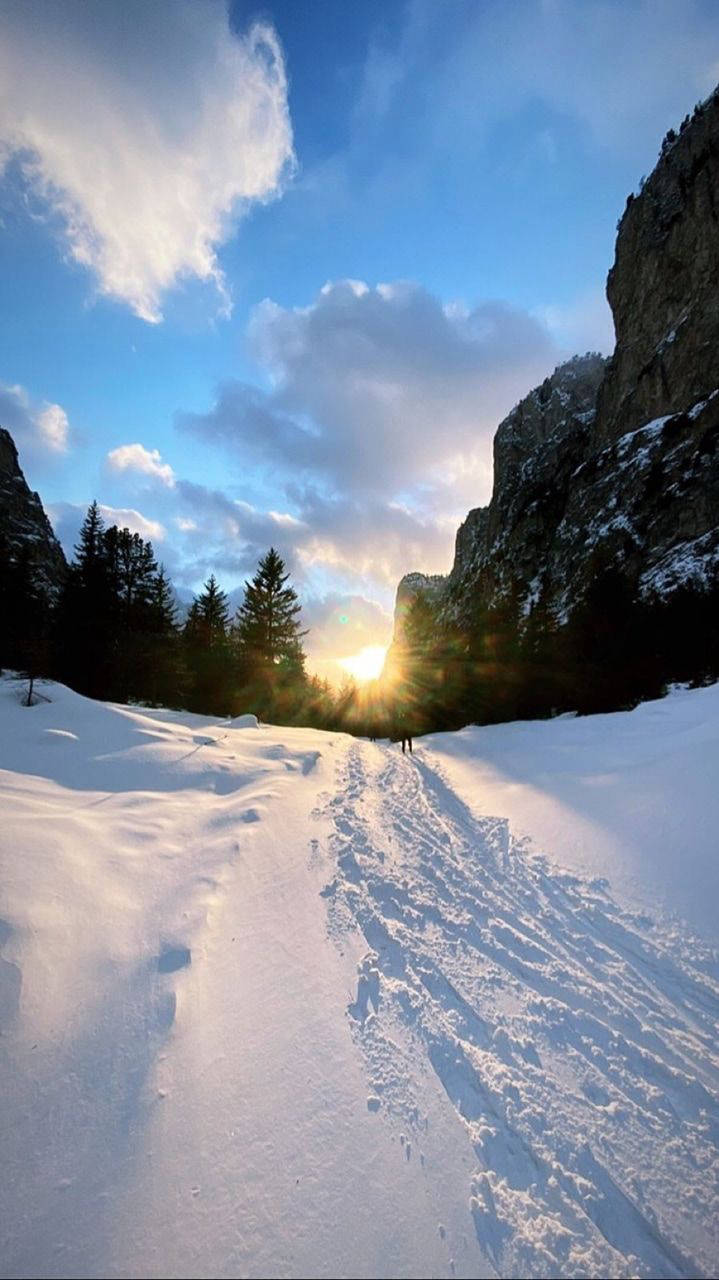 Camino Nevado Estético para iPhone Fondos de pantalla