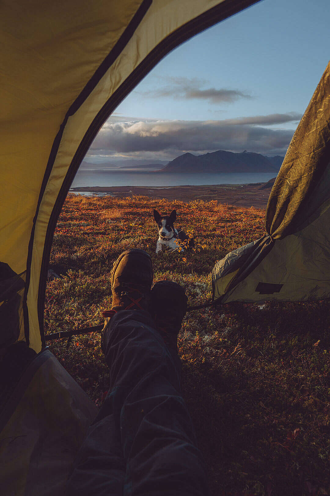 Campamento al aire libre con Chill iPhone Fondos de pantalla