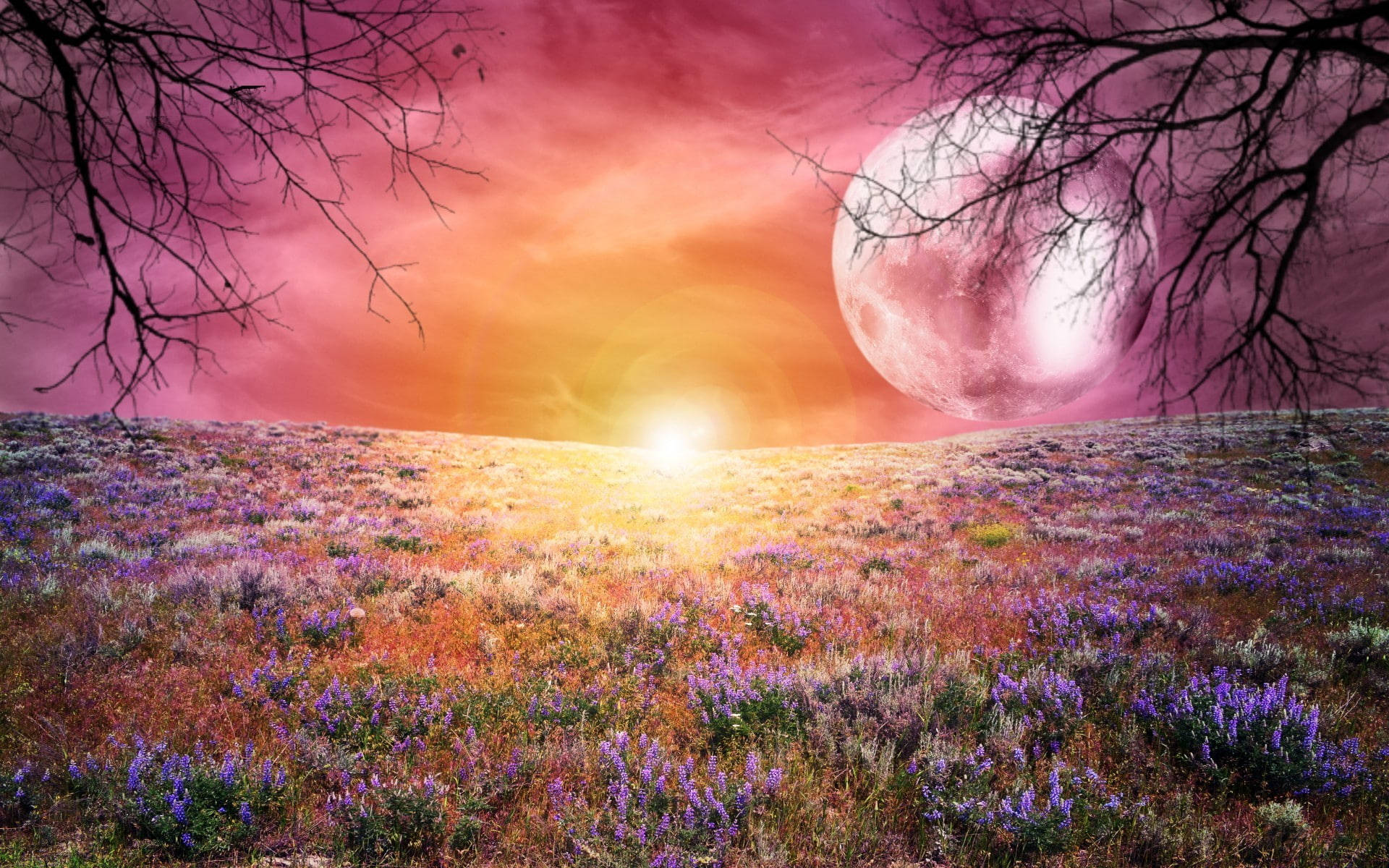 Campo de Flores y Luna Galáctica Fondos de pantalla