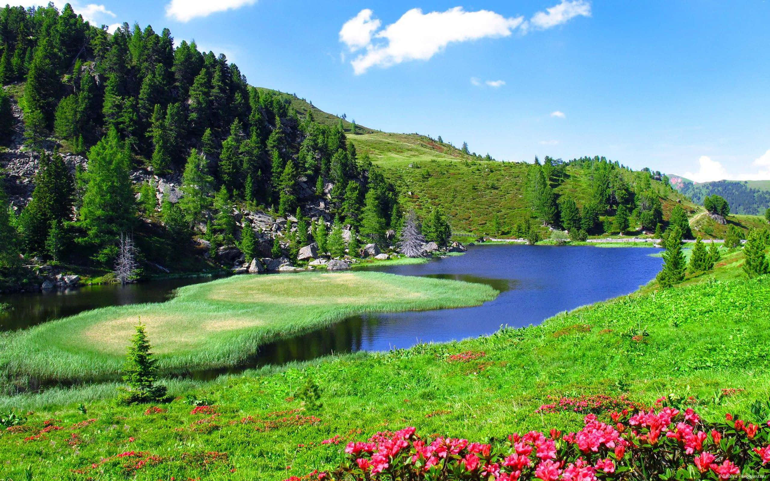 Campo de hierba junto al río paisaje Fondos de pantalla