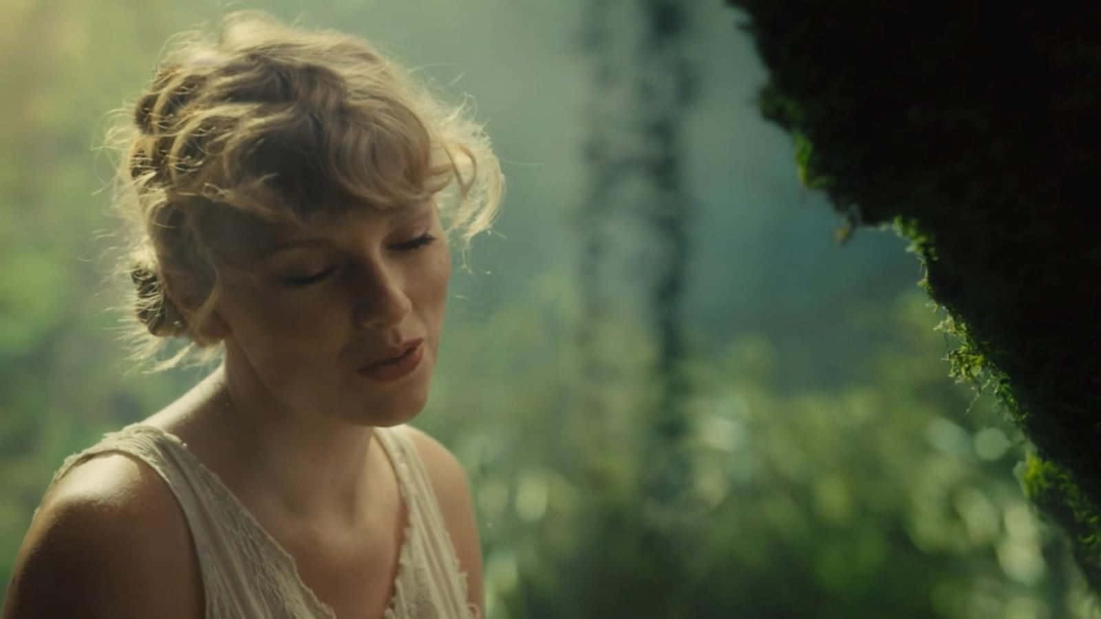 Canción Cardigan de Taylor Swift Folklore Fondos de pantalla