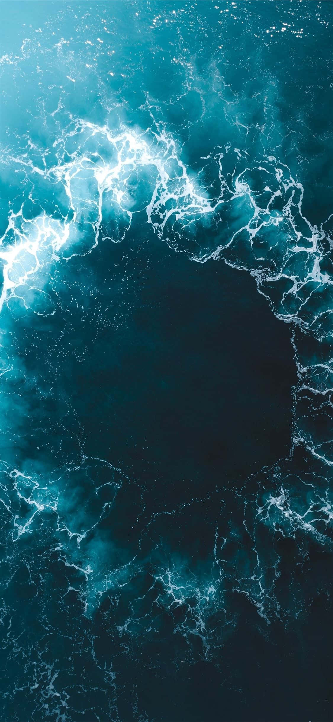 Captura el momento. Fondos de pantalla