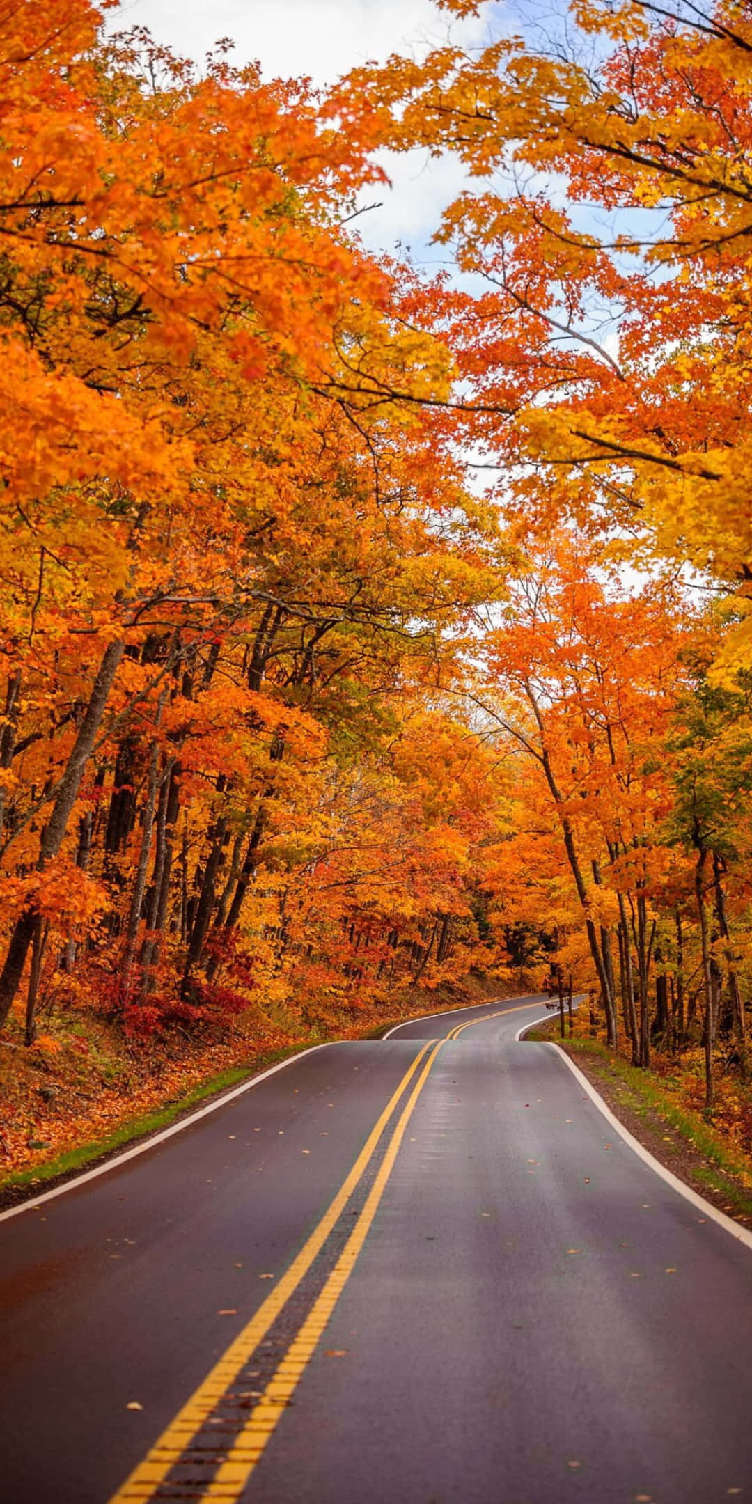 Captura la belleza del otoño con tu nuevo Pixel 3 Fondos de pantalla