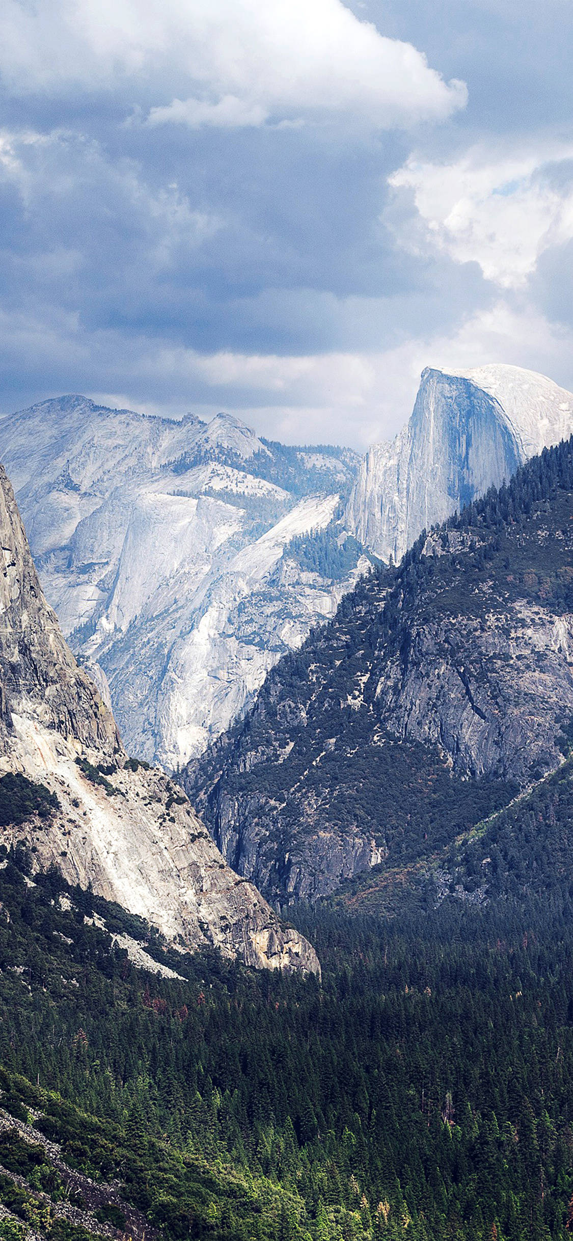 Captura la belleza del Parque Nacional Yosemite desde tu iPhone. Fondos de pantalla