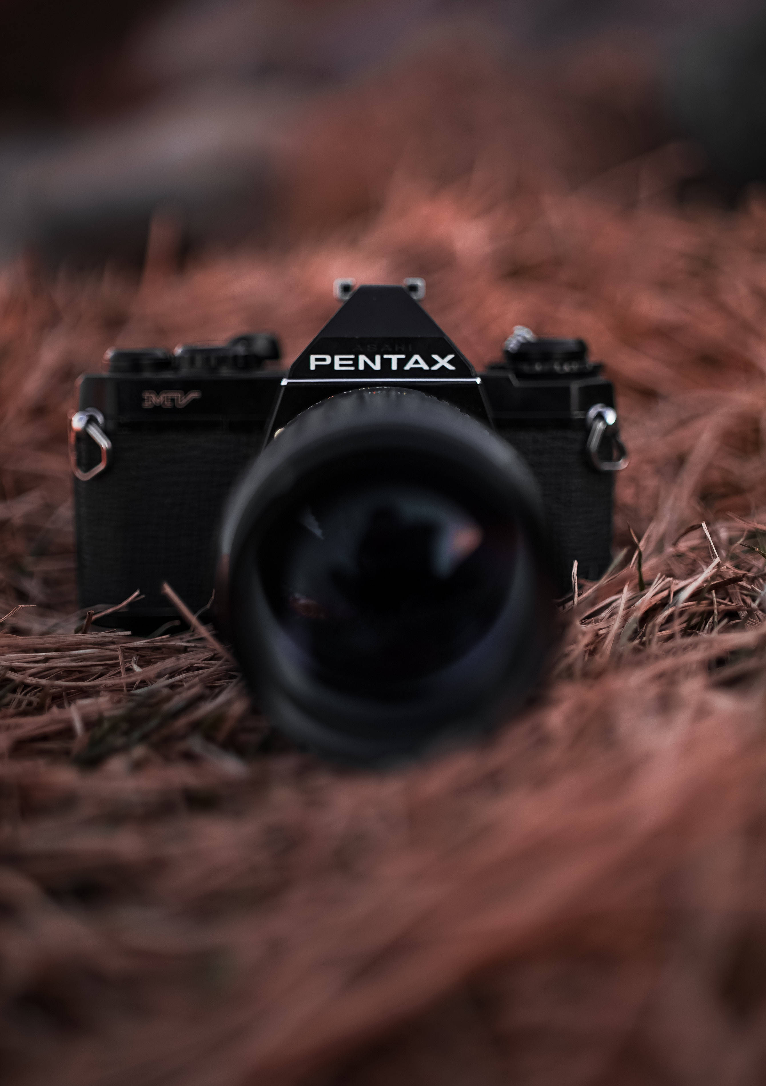 Captura la belleza de la vida con una cámara Pentax Fondos de pantalla