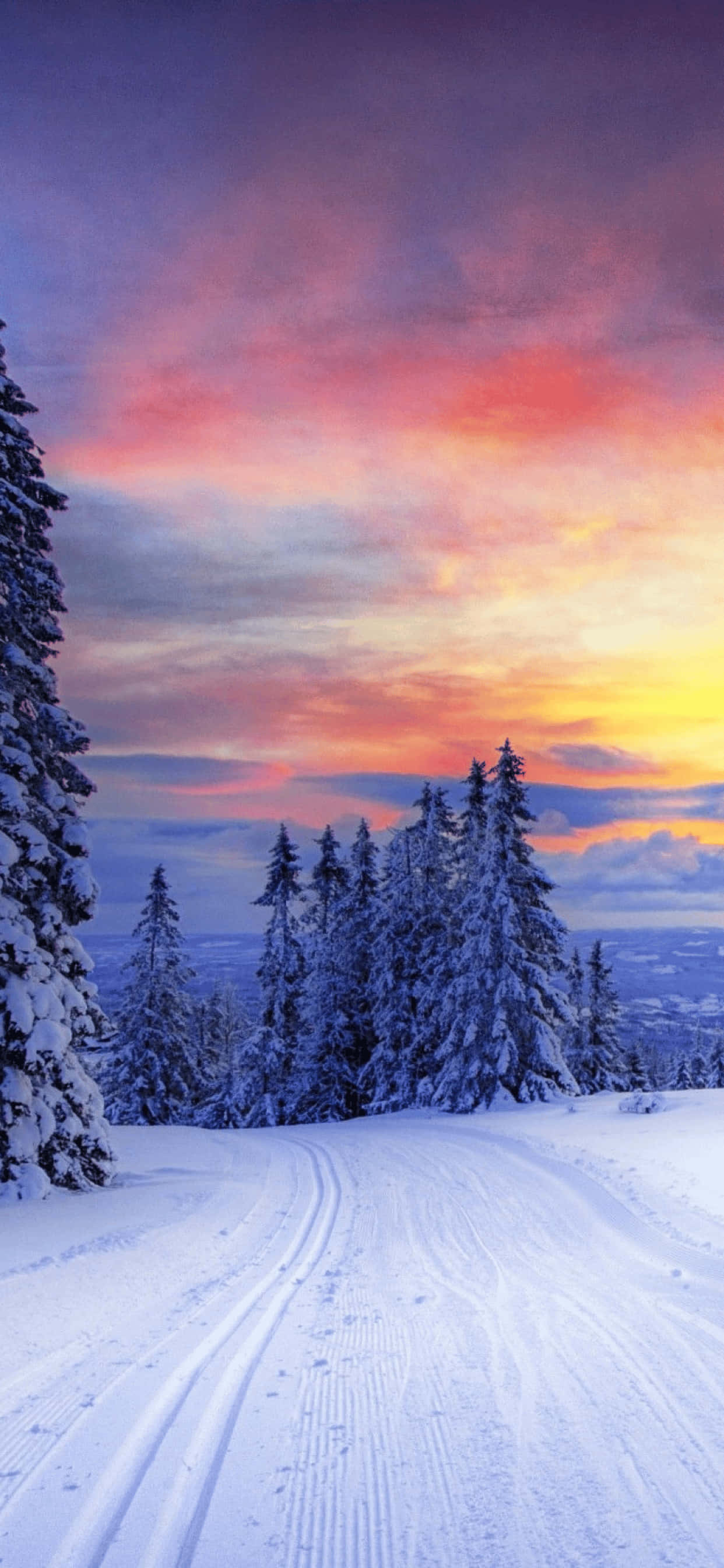 Captura la delicada belleza del invierno con iPhone Xs Max Fondos de pantalla