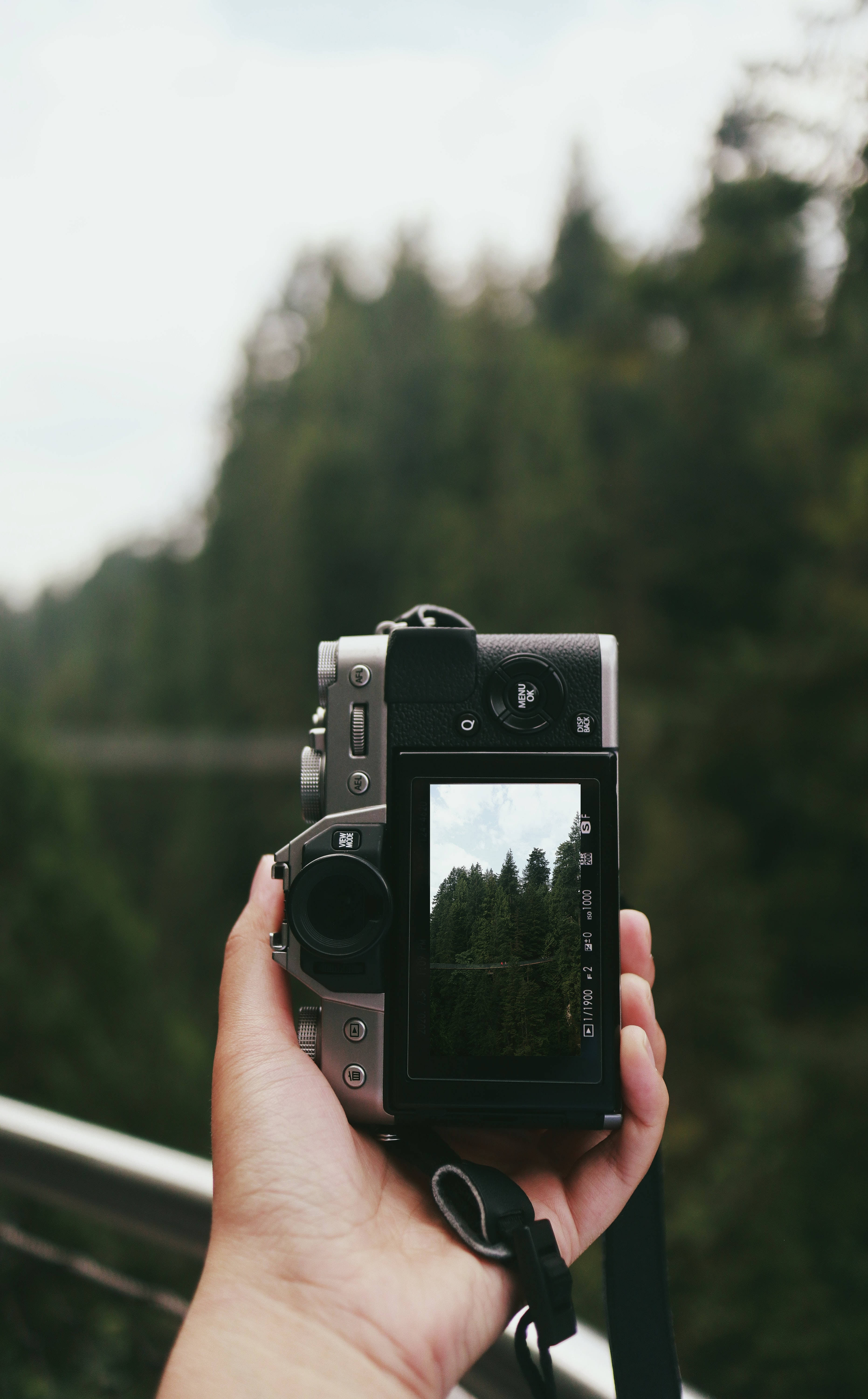“Capturando la vida a través del lente” Fondos de pantalla