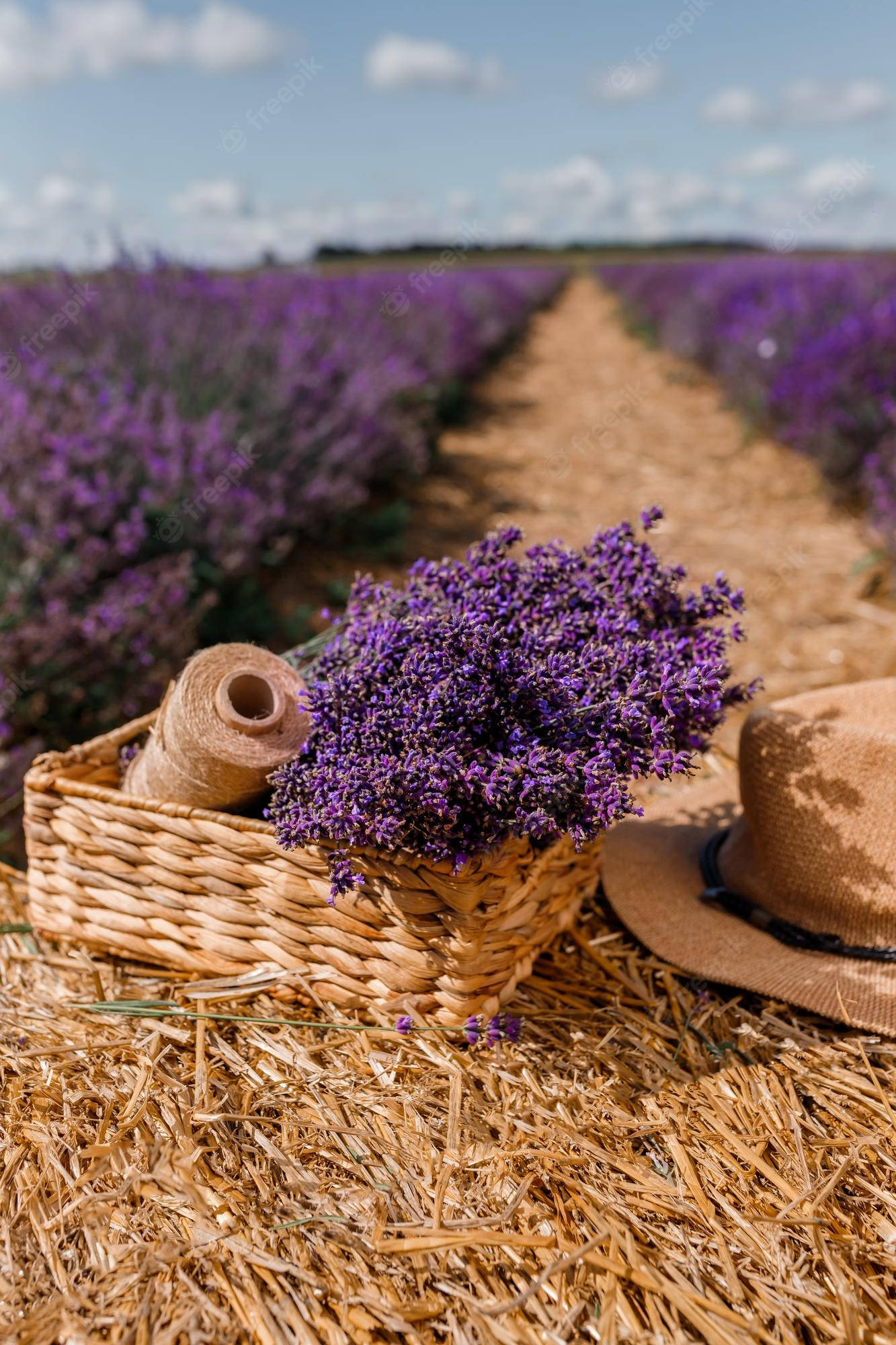 Capullos de flores y cordel de lavanda estética Fondos de pantalla