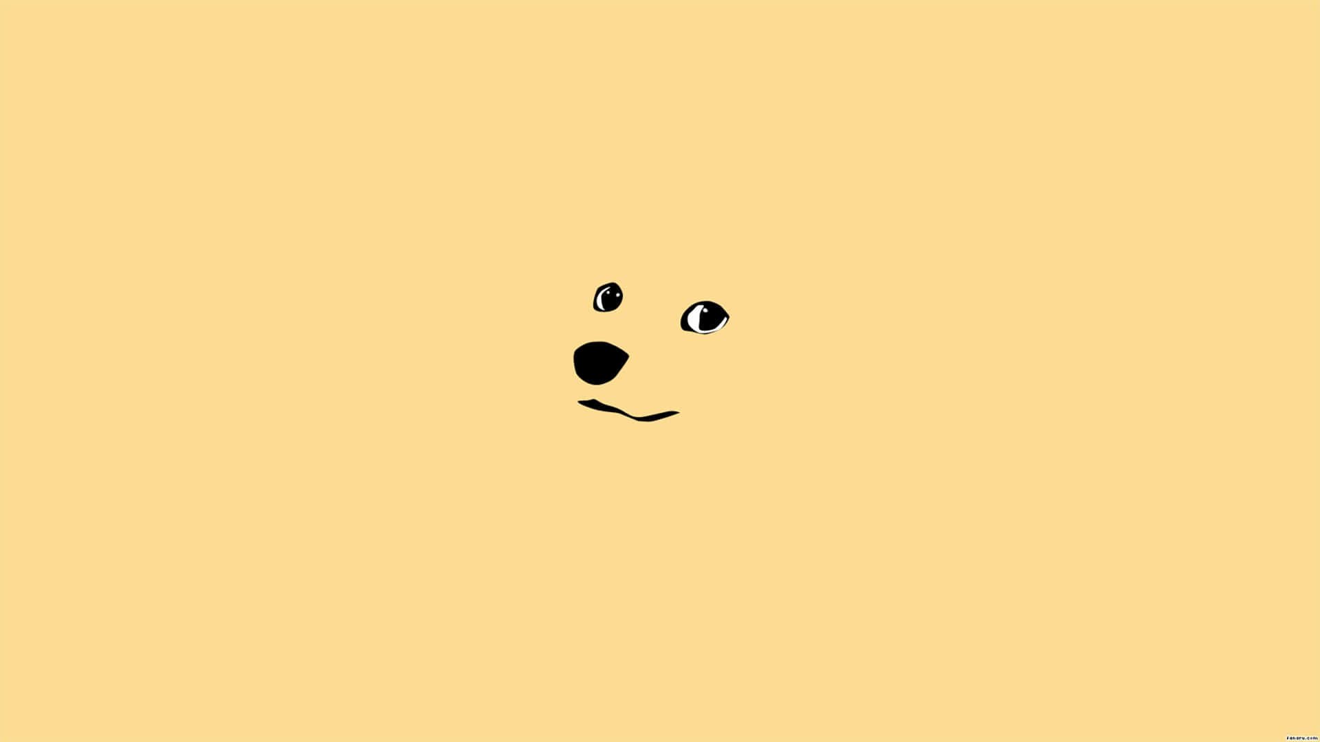 cara de un oso de peluche negro y amarillo sobre fondo amarillo Fondos de pantalla