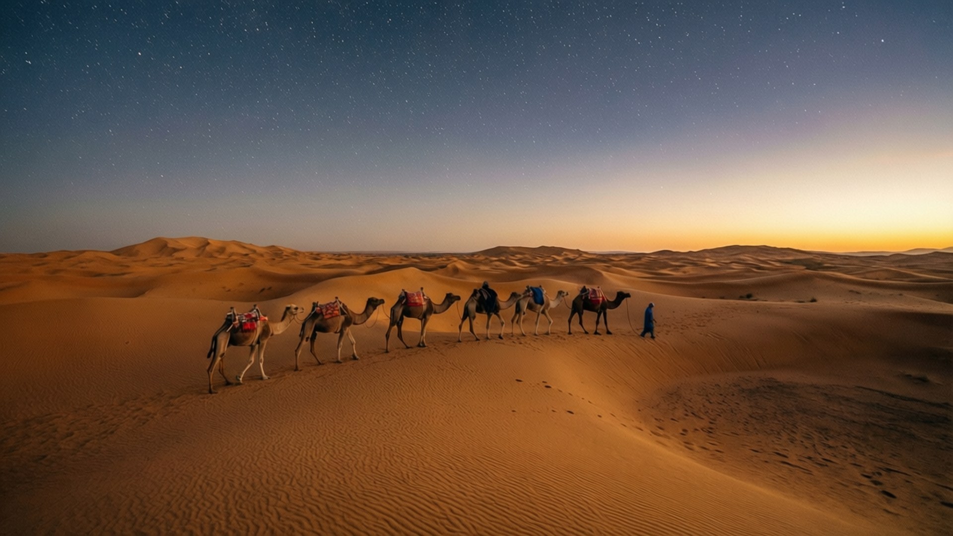 Caravana del Desierto Fondos de pantalla