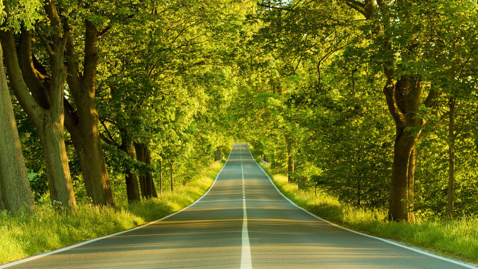 Carretera 3D Naturaleza Fondos de pantalla