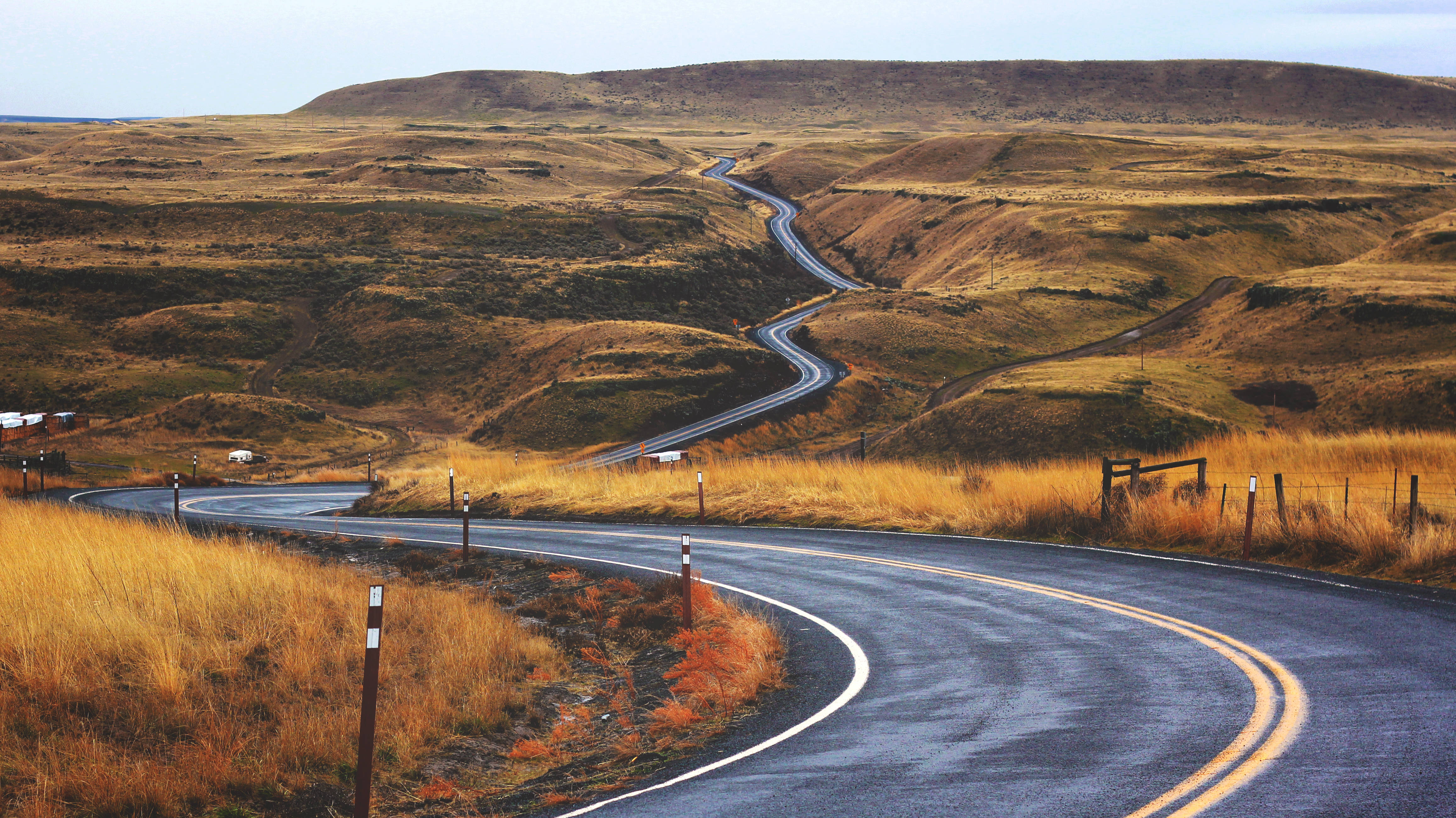 Carretera Curva en Pradera Fondos de pantalla