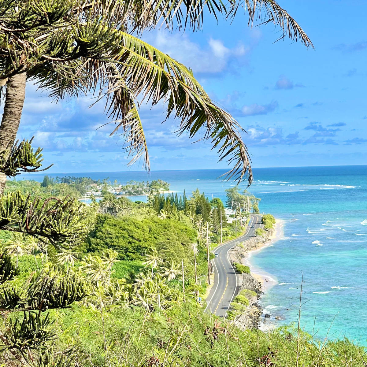 Carretera de Oahu junto al mar Fondos de pantalla