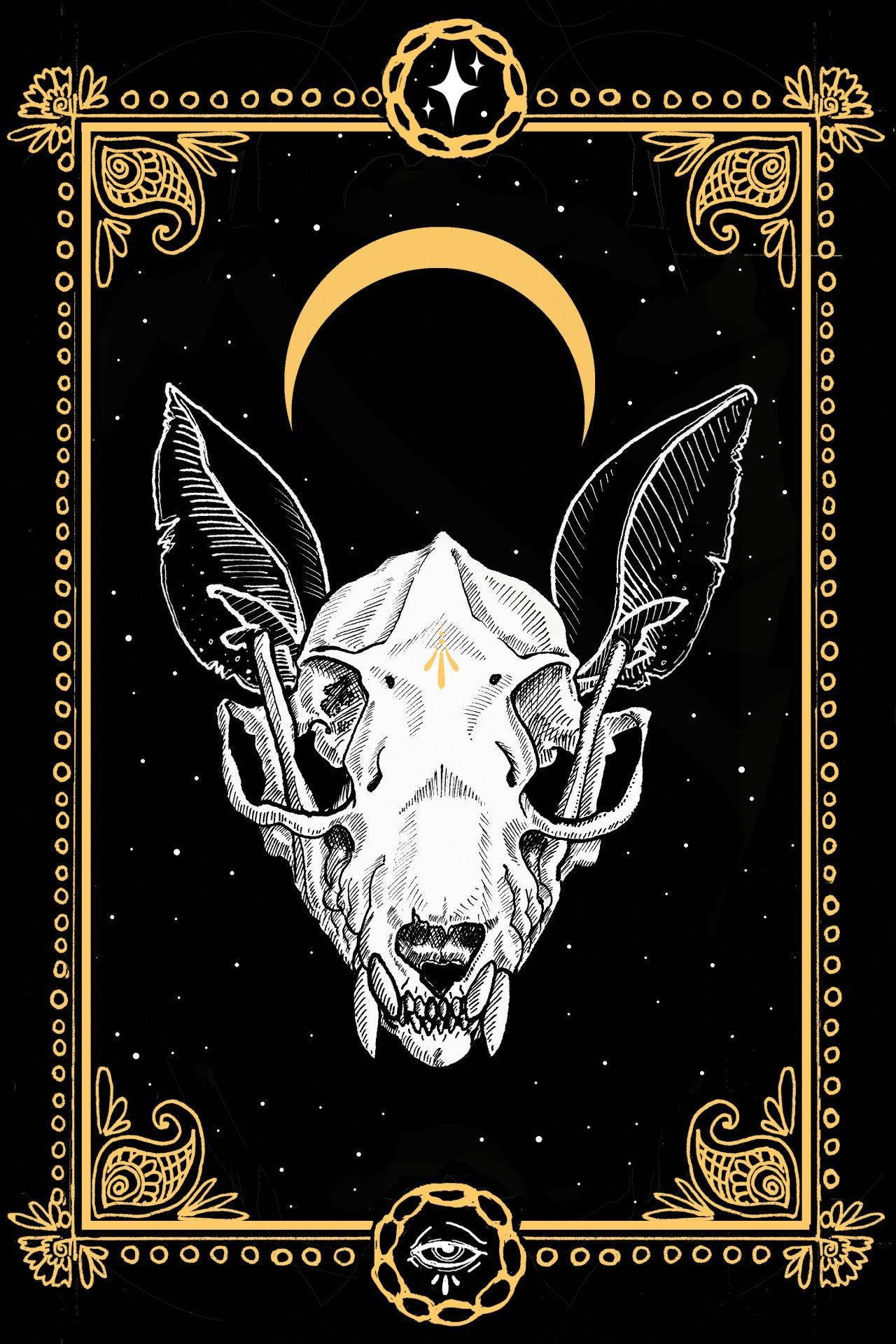 Carta de Tarot con Estética de Bruja y Cráneo Fondos de pantalla
